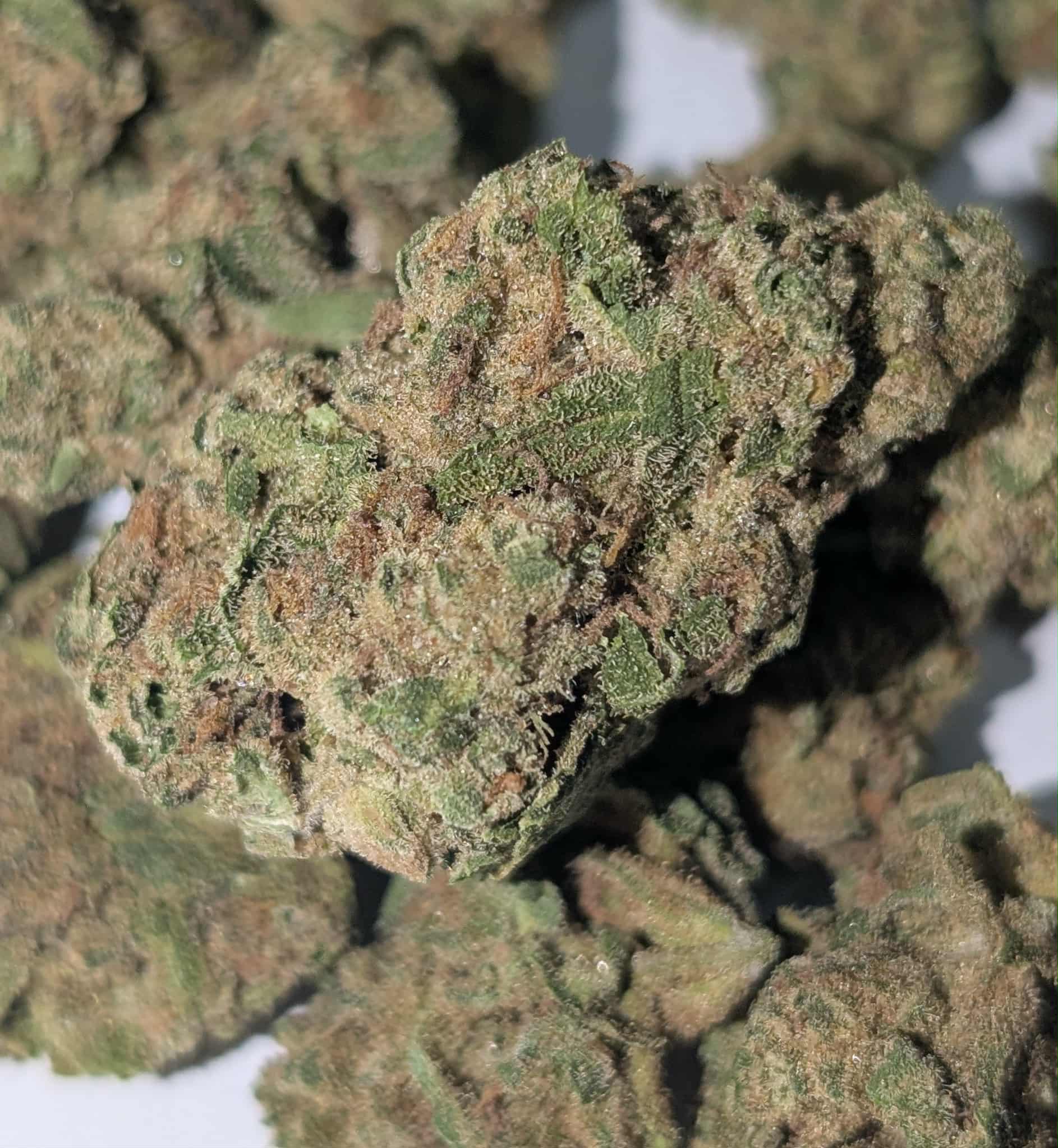 Green Crack - sativa Rating: 40-80
