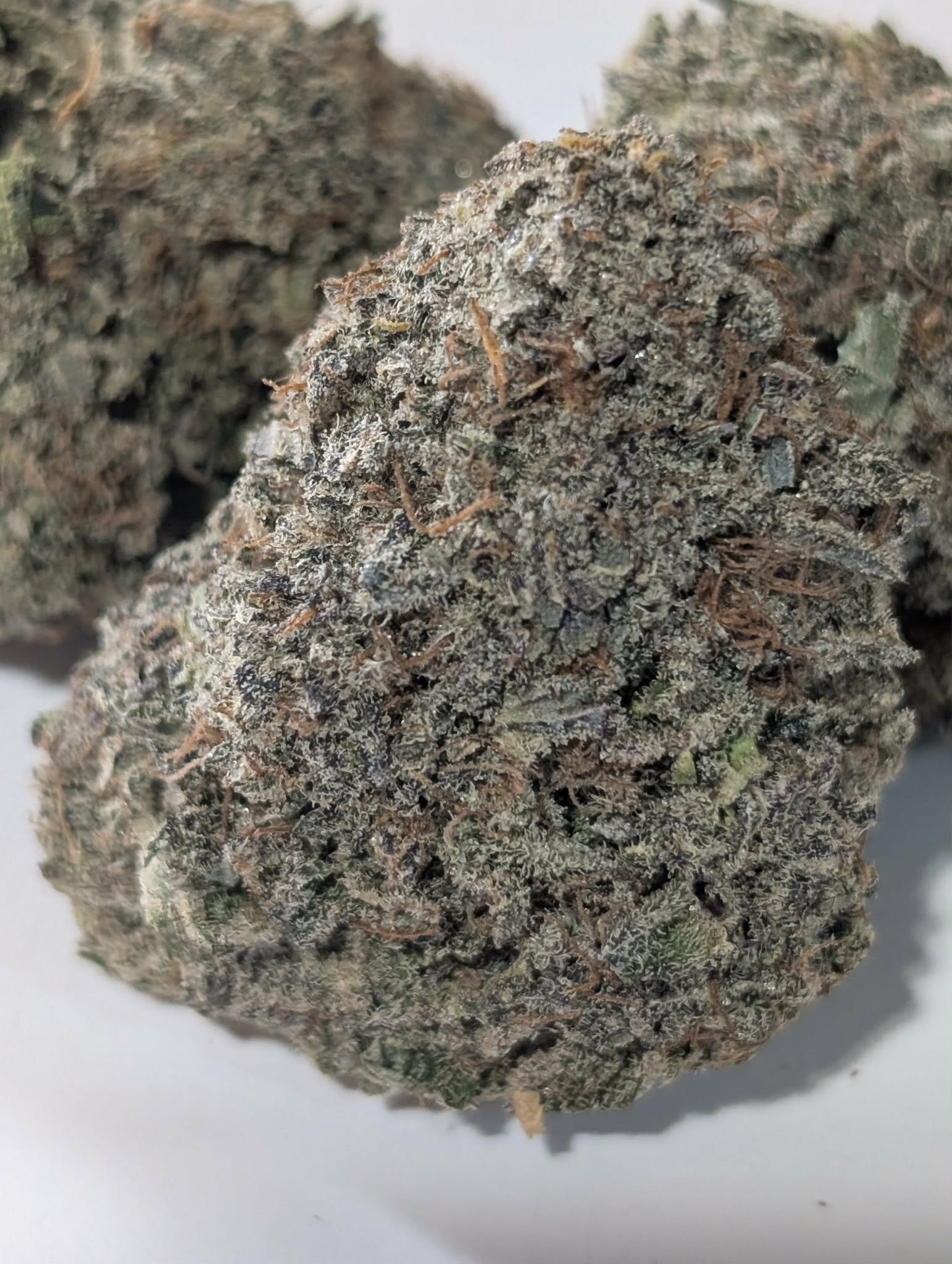 Girl Scout Cookies - indica dom Rating: 50-70-130