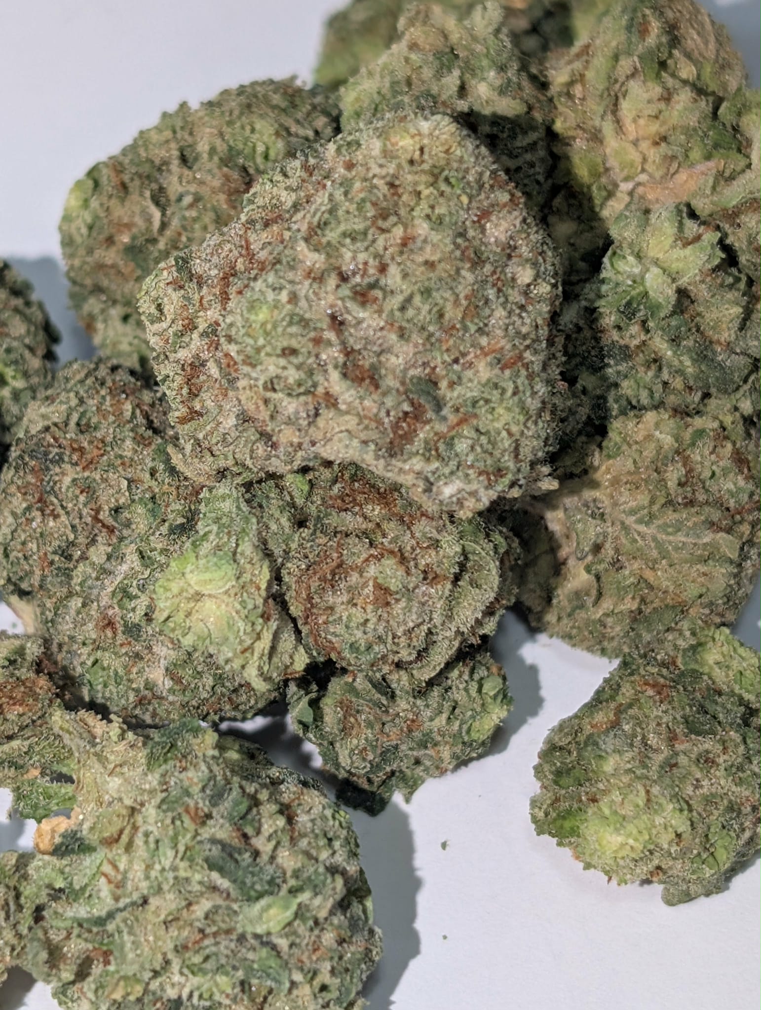 Island Pink - indica dom Rating: 50-90