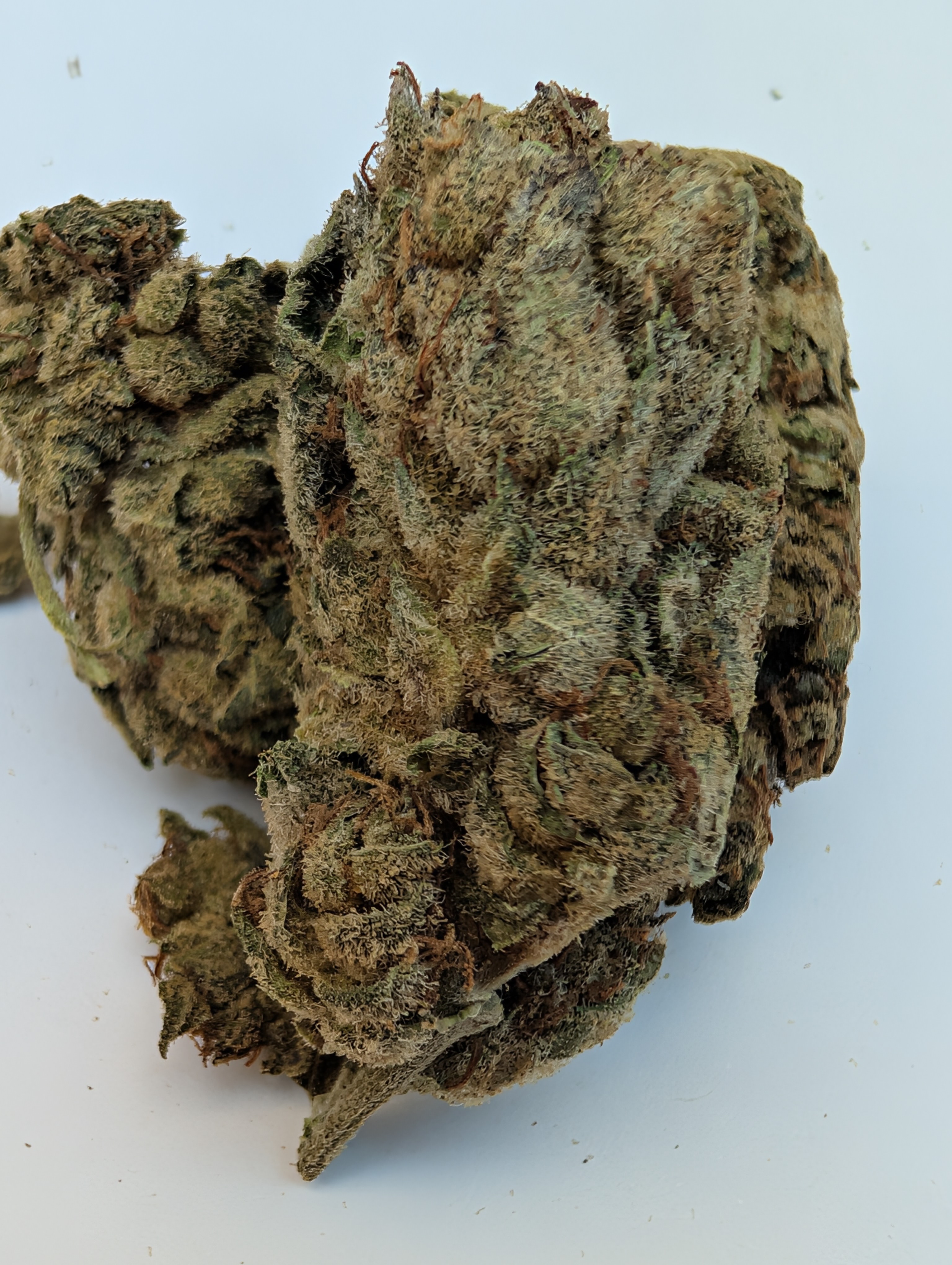 Northern lights - indica dom.        Rating:40-70