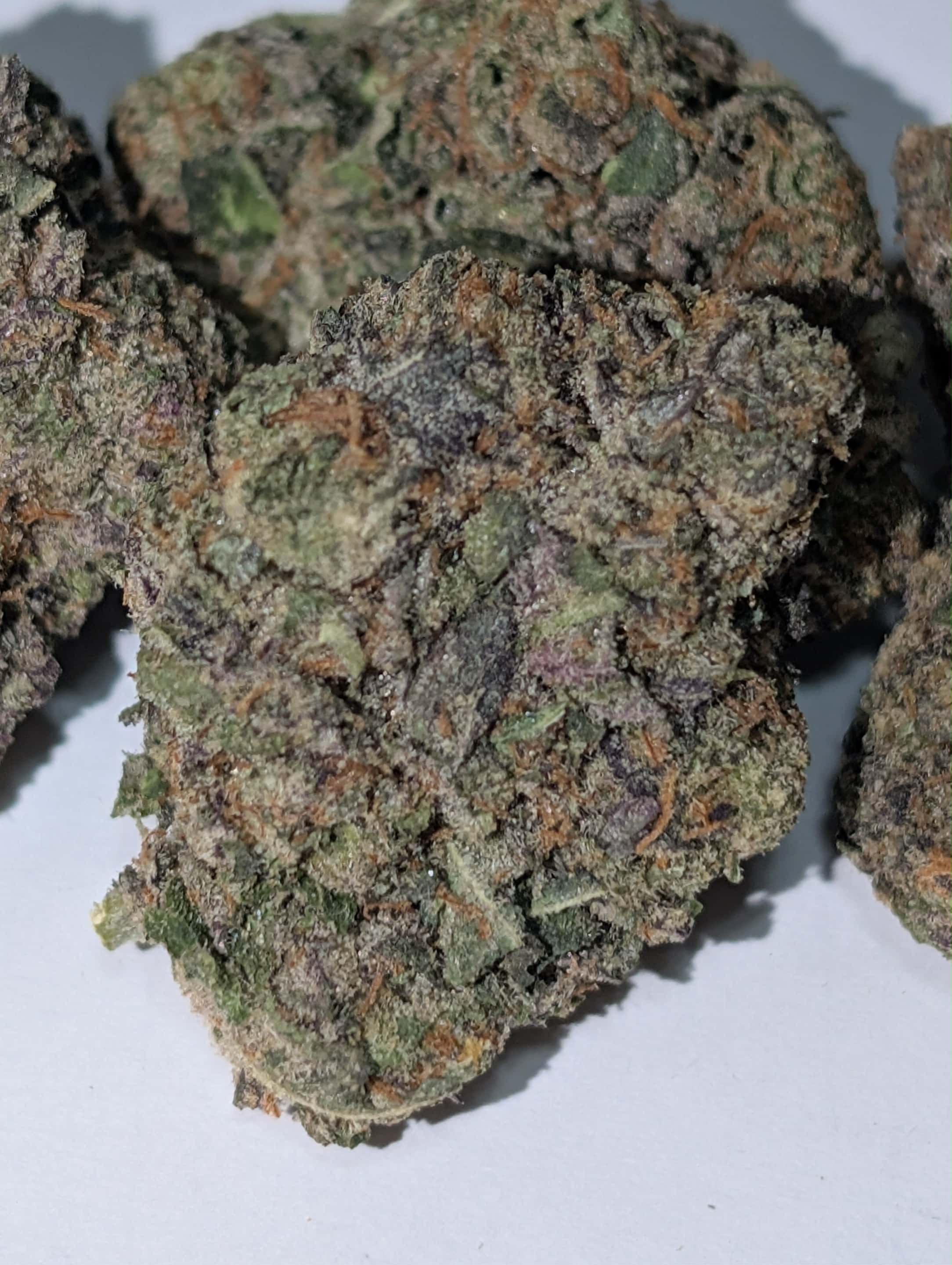 White Truffle - indica dom Rating: 50-100