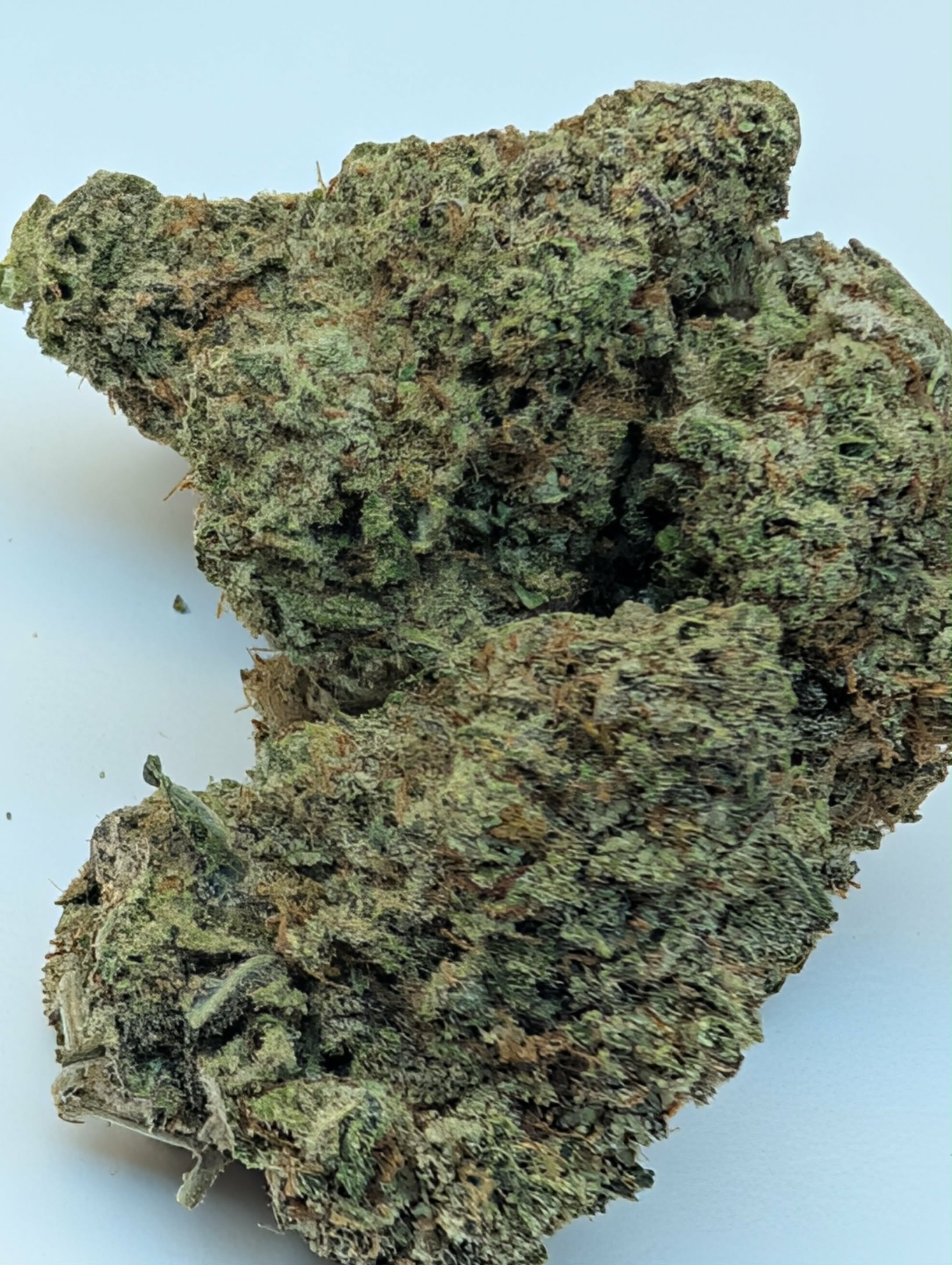 Atomic Bomb - hybrid         Rating: 50-100