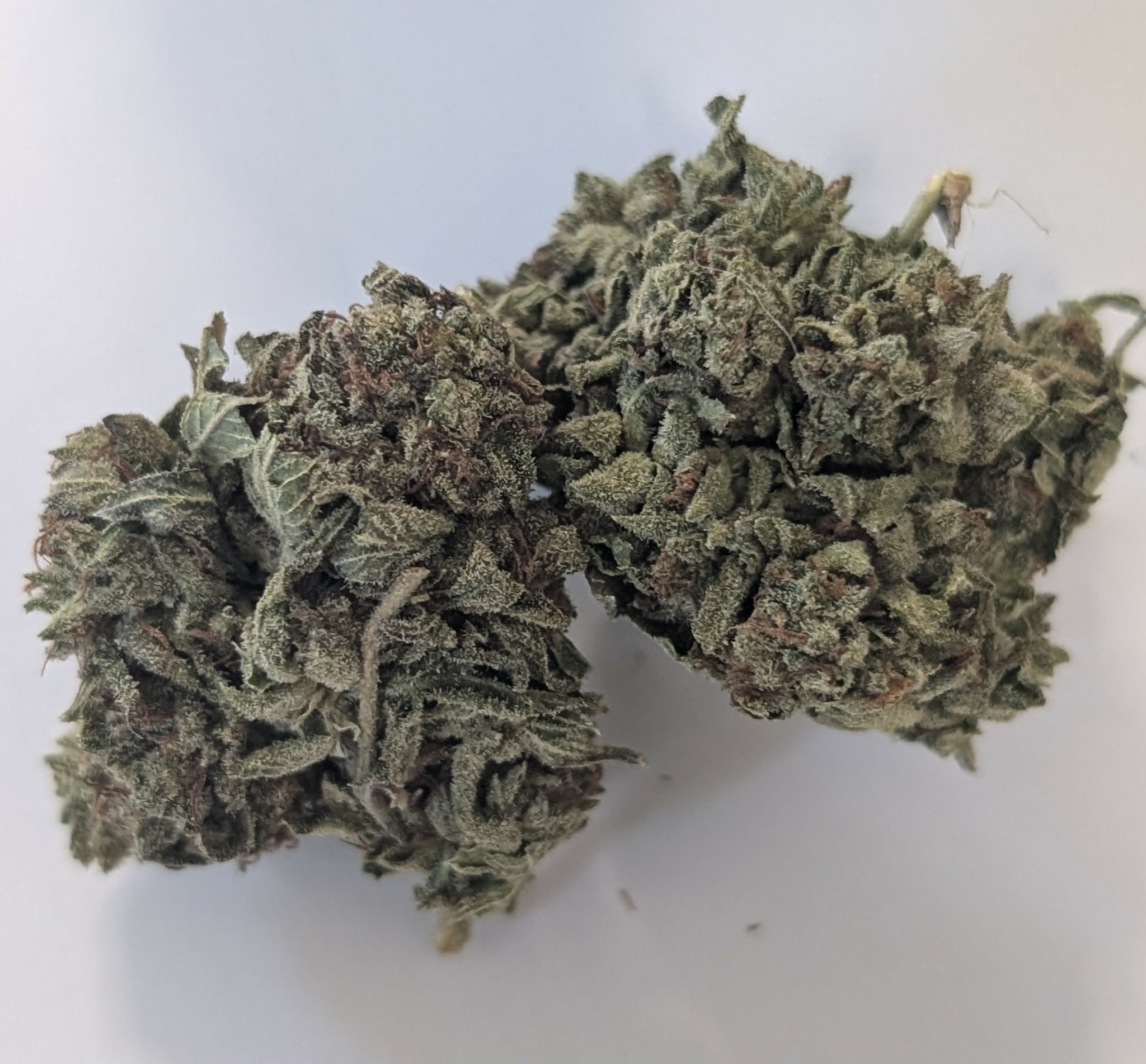 Pinot Green - sativa dom.       Rating : 50oz 
