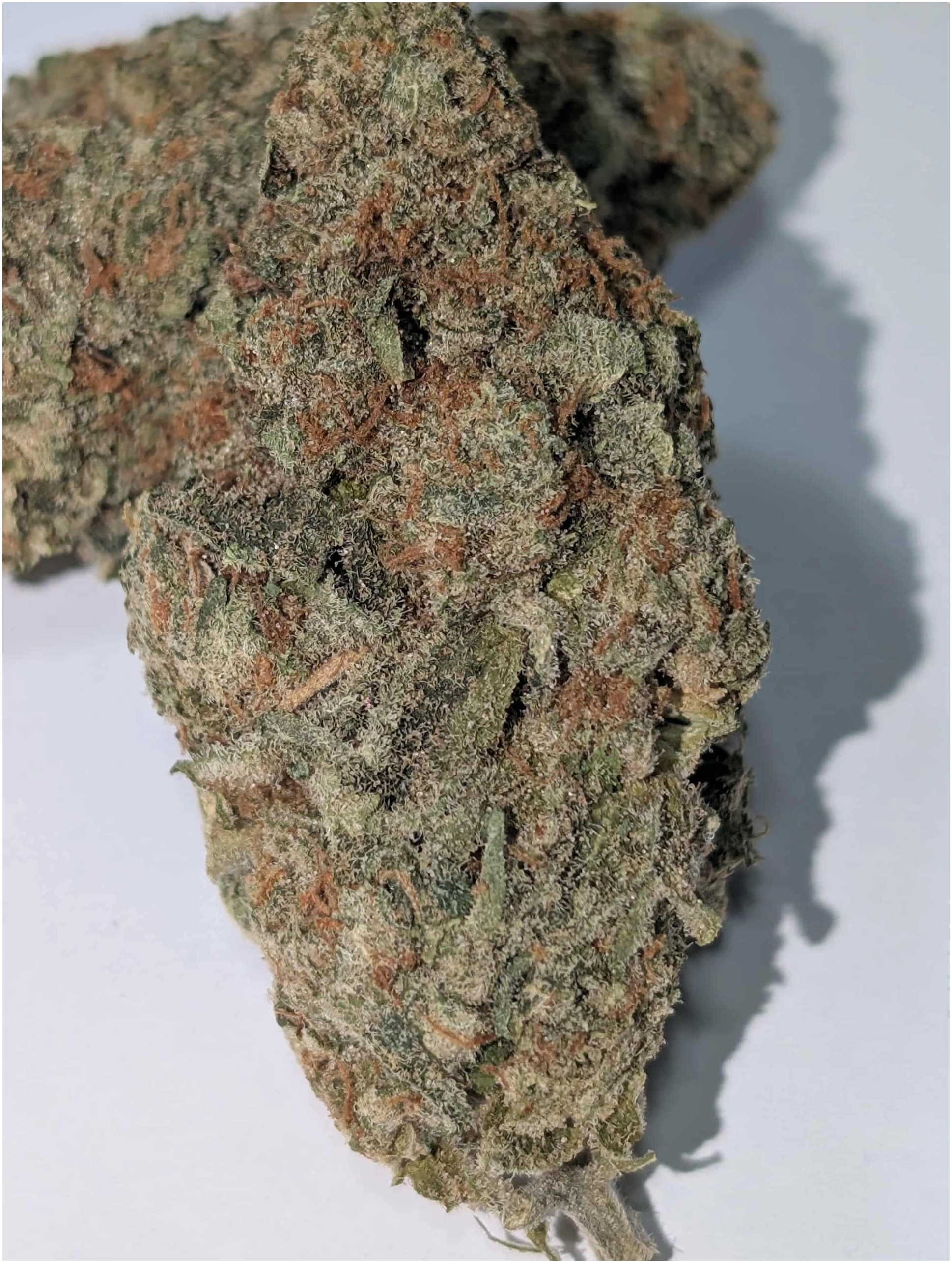 Donkey Butter – indica dom Rating: 50-90