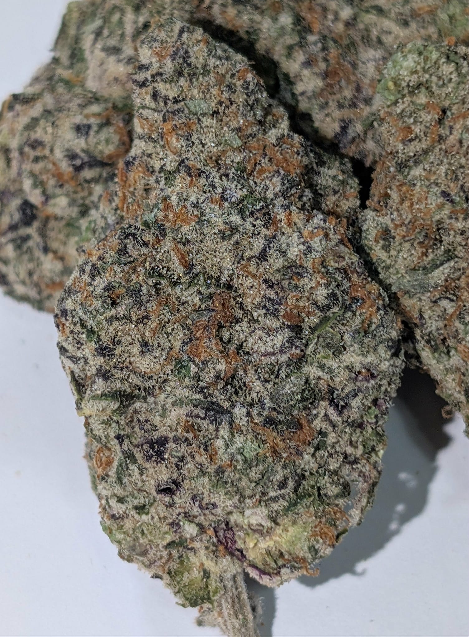 Peach Tea - Sativa dom Rating: 50-100
