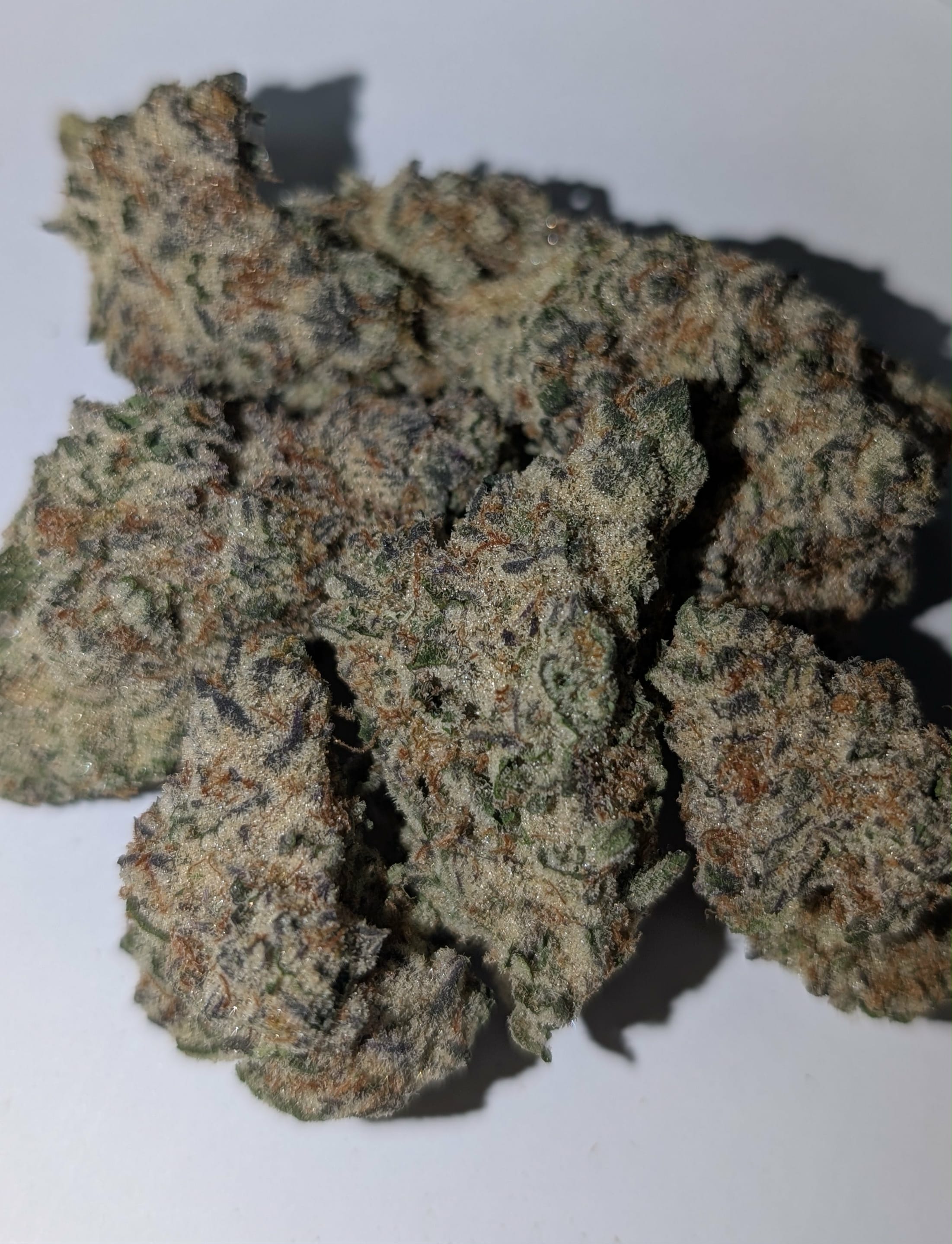 Pink Whip - Sativa dom Rating: 50-70-130