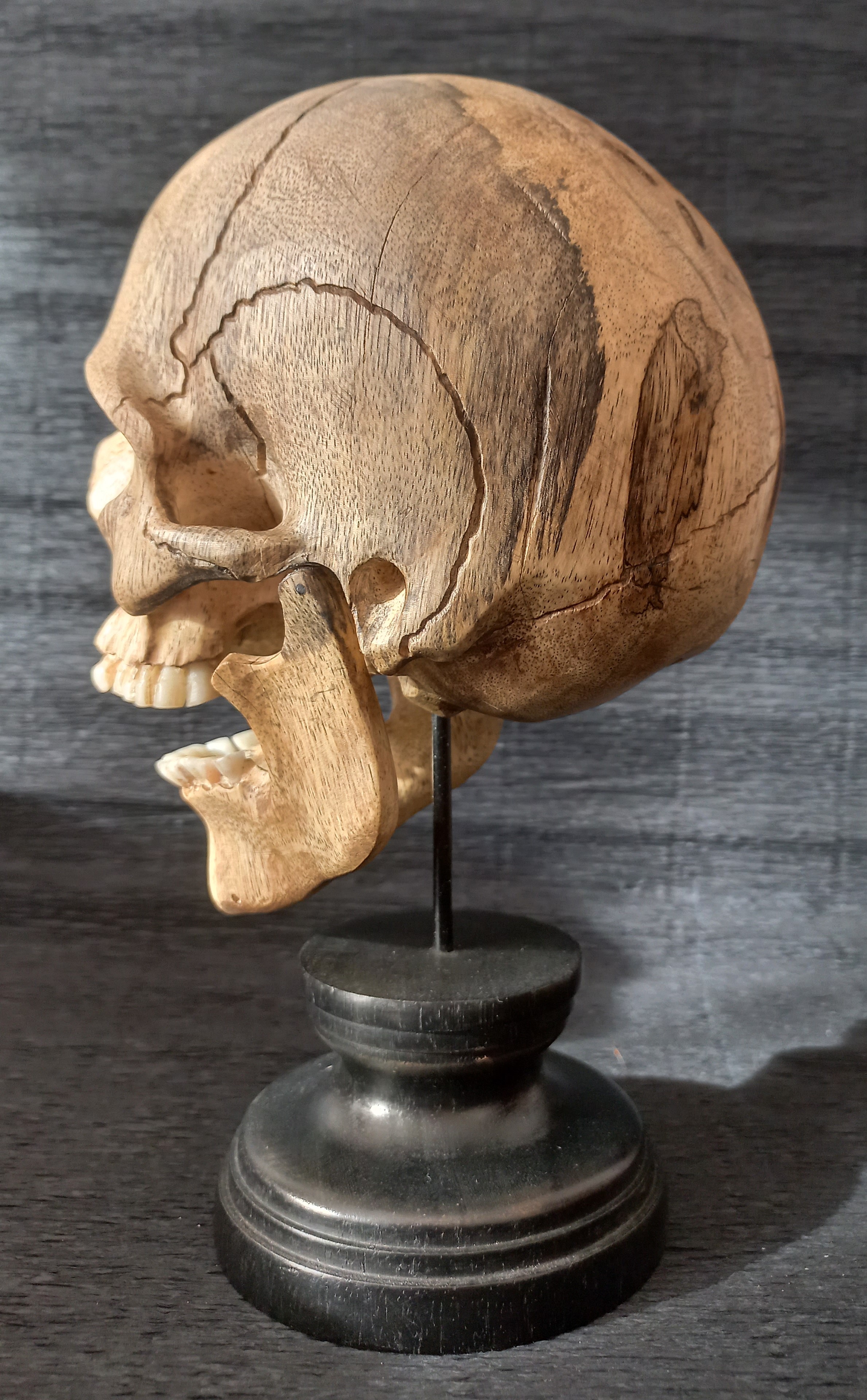 Teschio in legno su pedistallo, Memento Mori Stile Cabineto  della curiositá