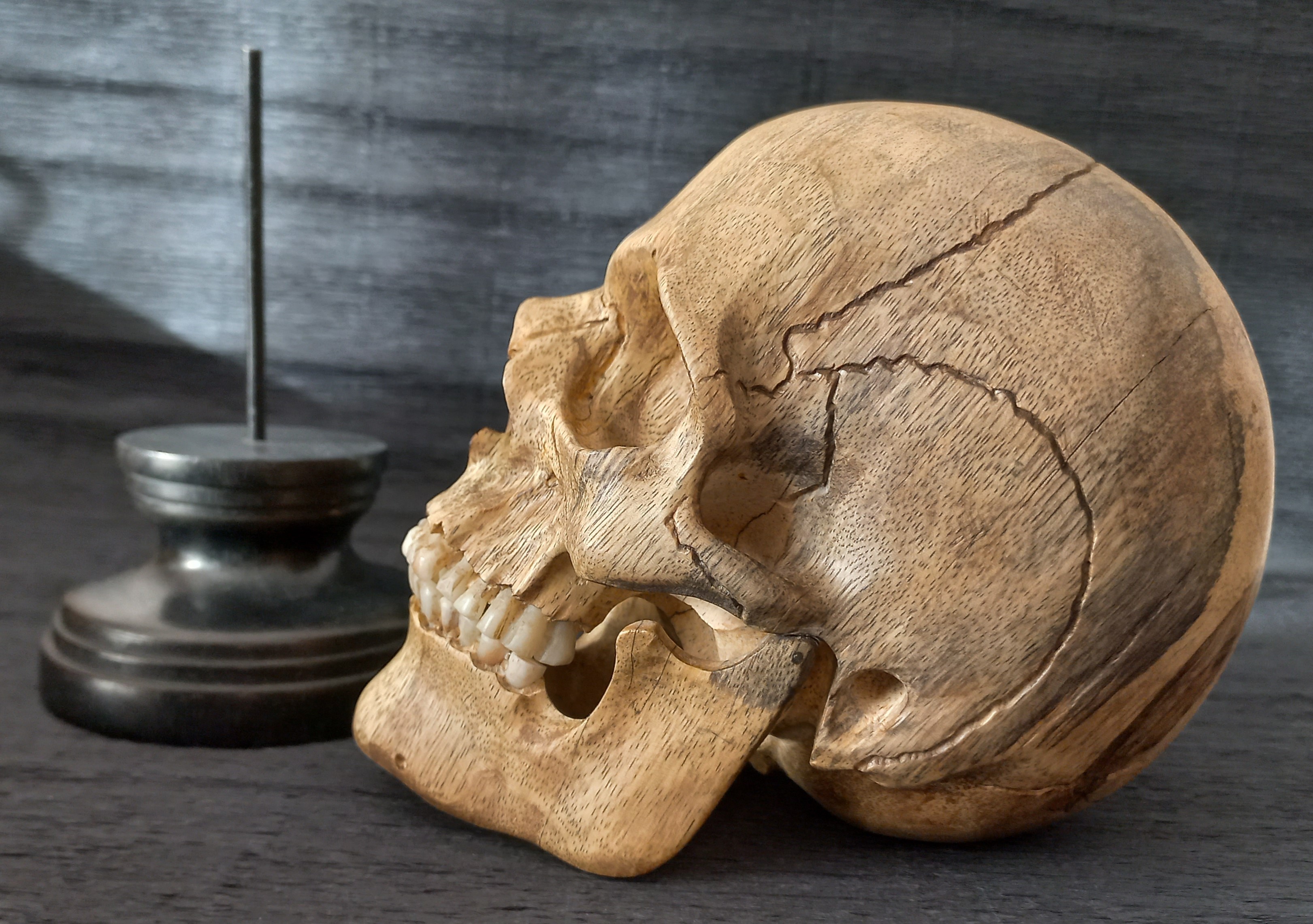 Teschio in legno su pedistallo, Memento Mori Stile Cabineto della curiositá