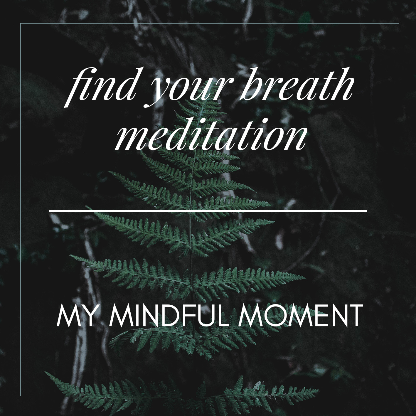 Find Your Breath Meditation