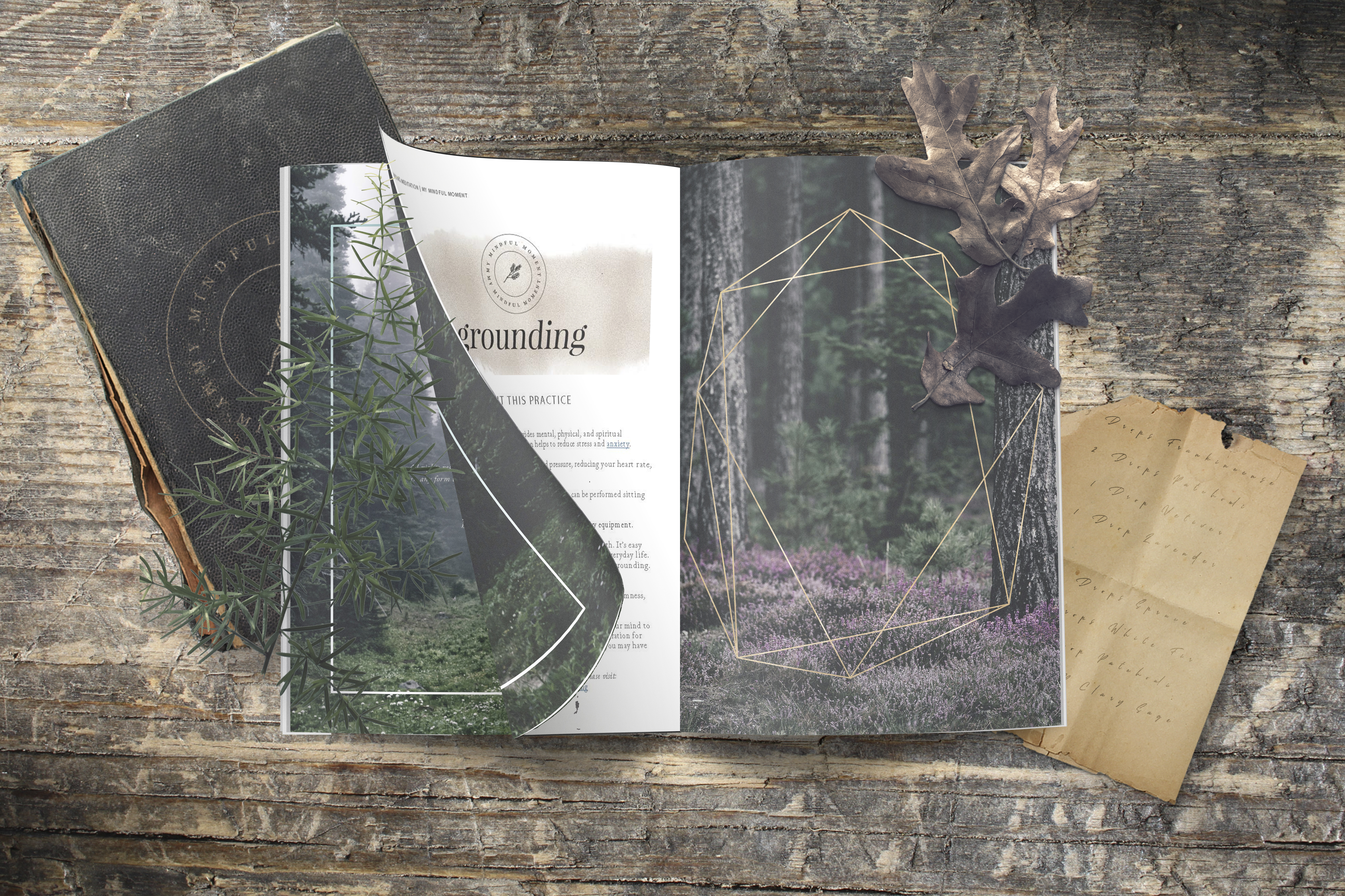 Grounding Meditation