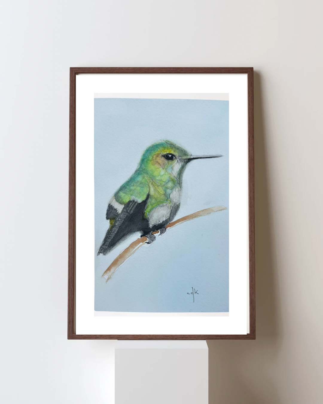 Bem-te-vi / Great Kiskadee