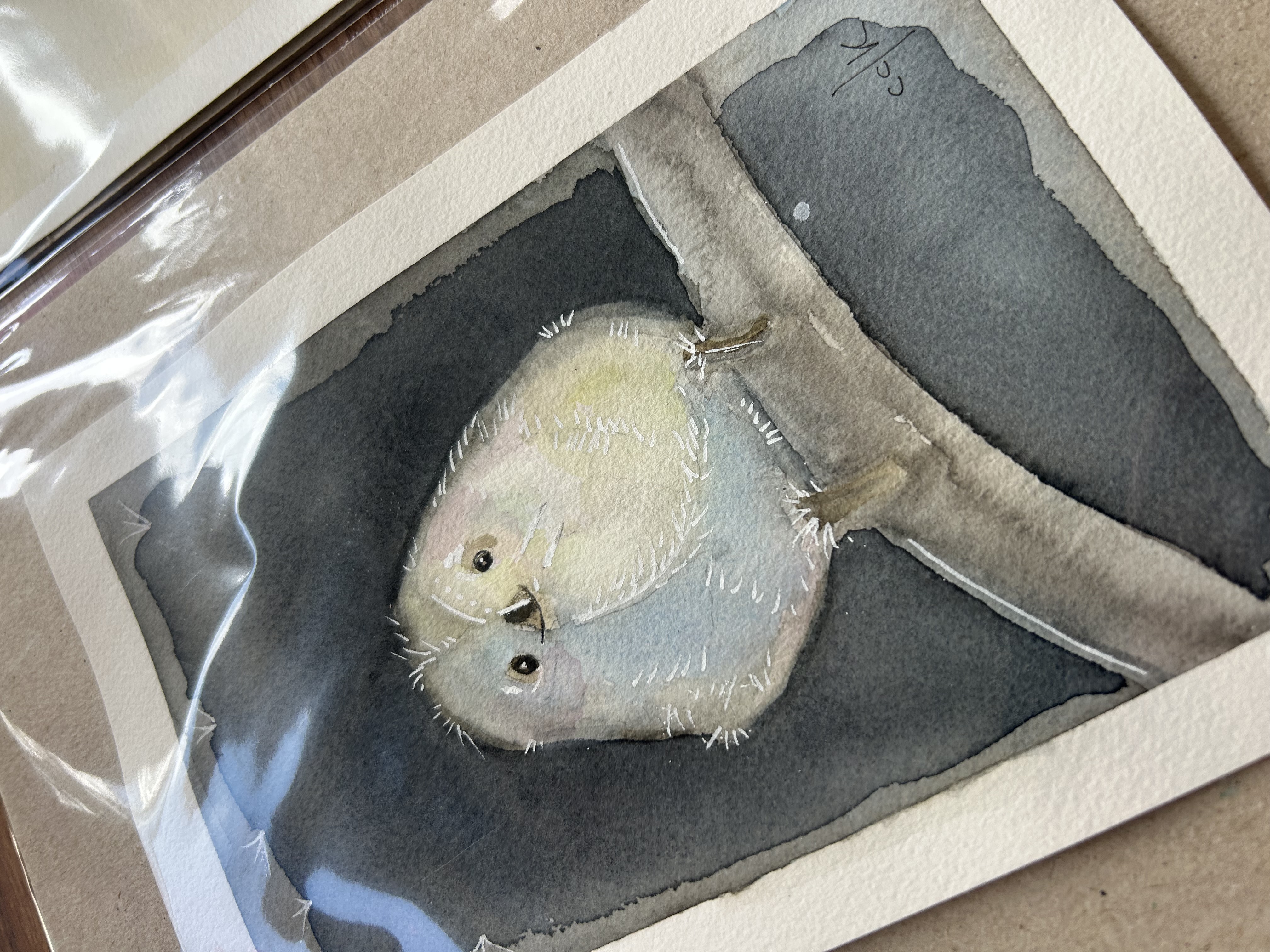 A Fada da Neve / Japanese Snow Fairy