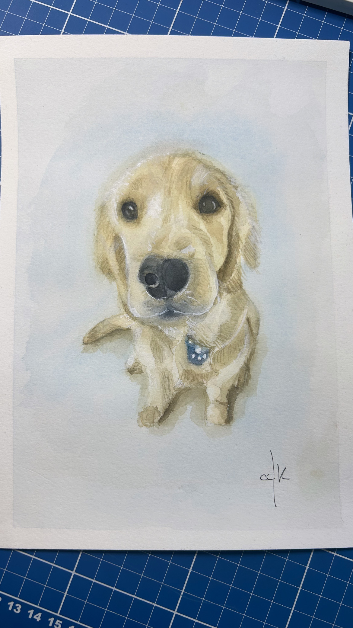 Meu Vizinho Charlie | My Neighbor Charlie