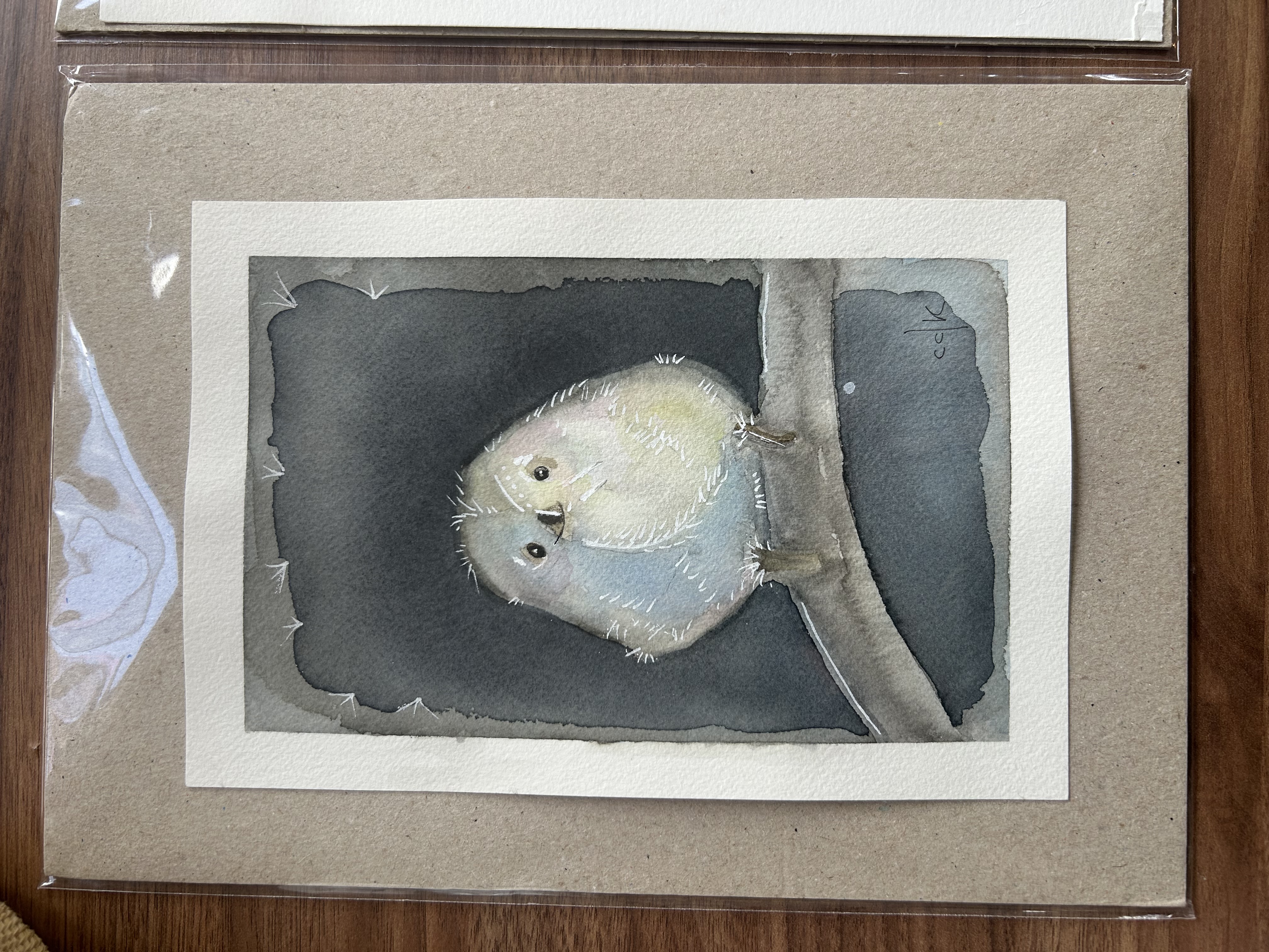 A Fada da Neve / Japanese Snow Fairy