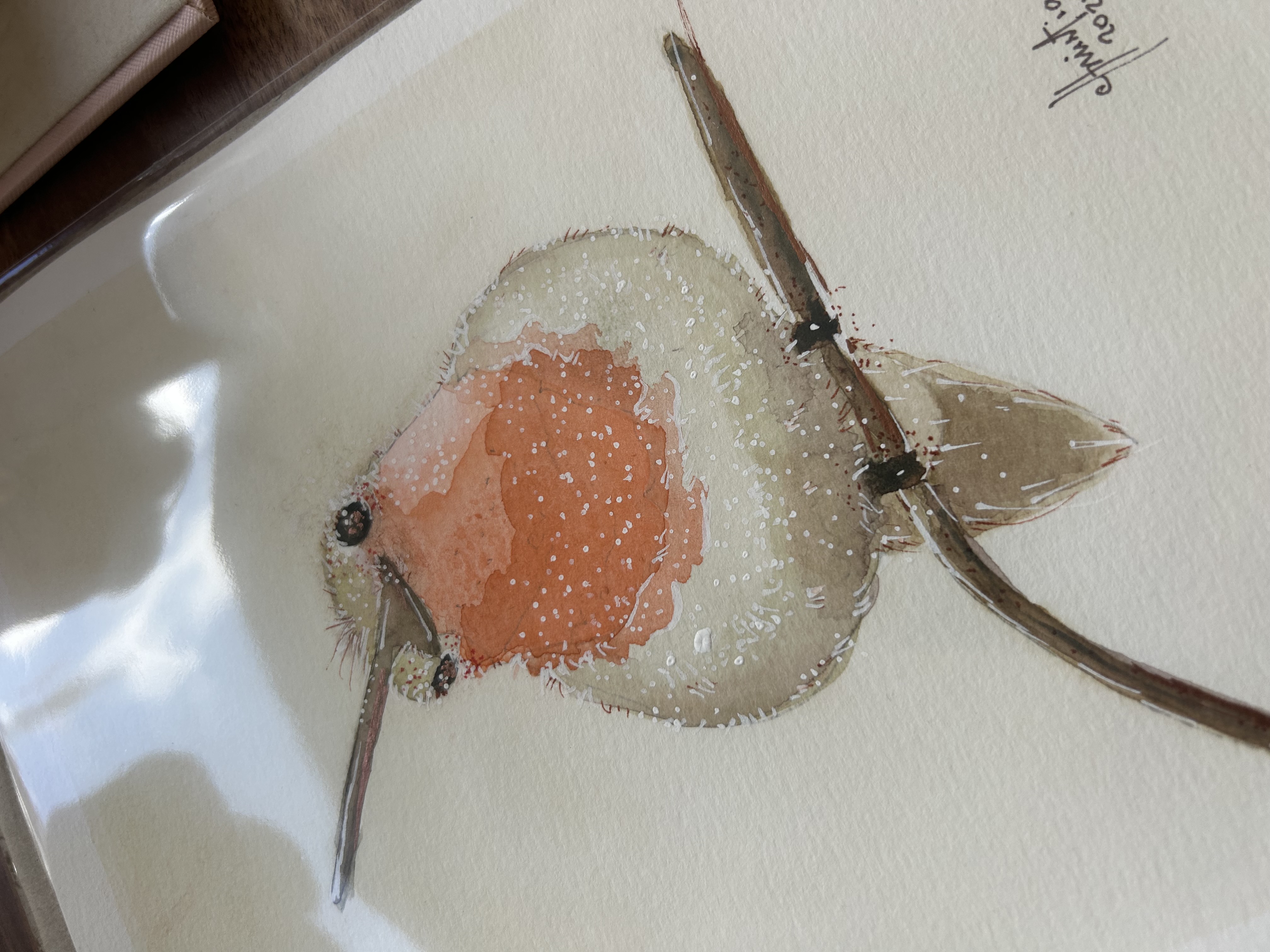 Beija-flor / Hummingbird