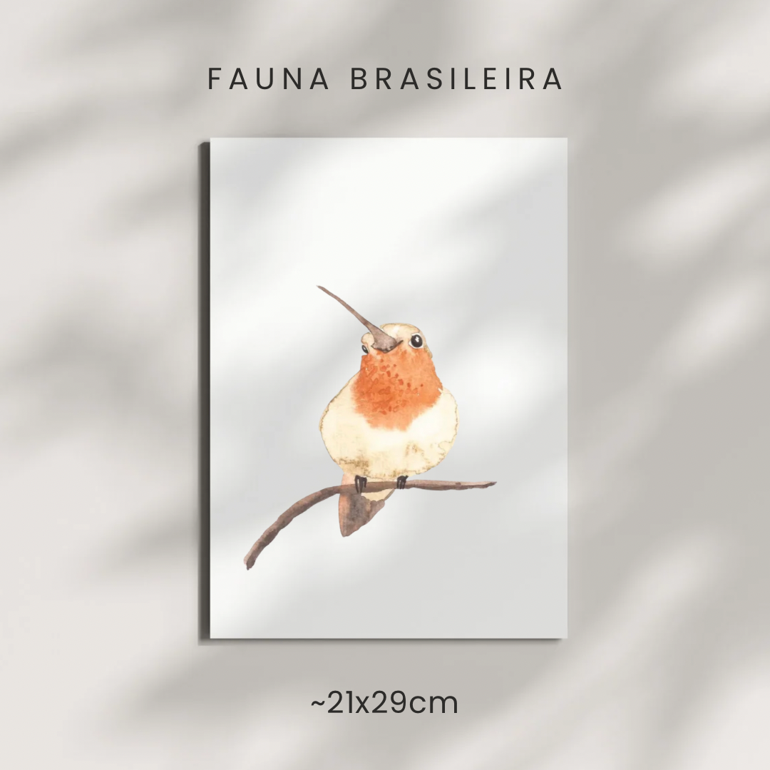 Beija Flor / Hummingbird