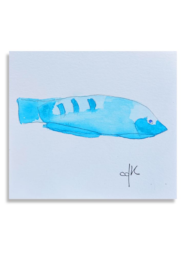 Peixe Azul / Blue Fish