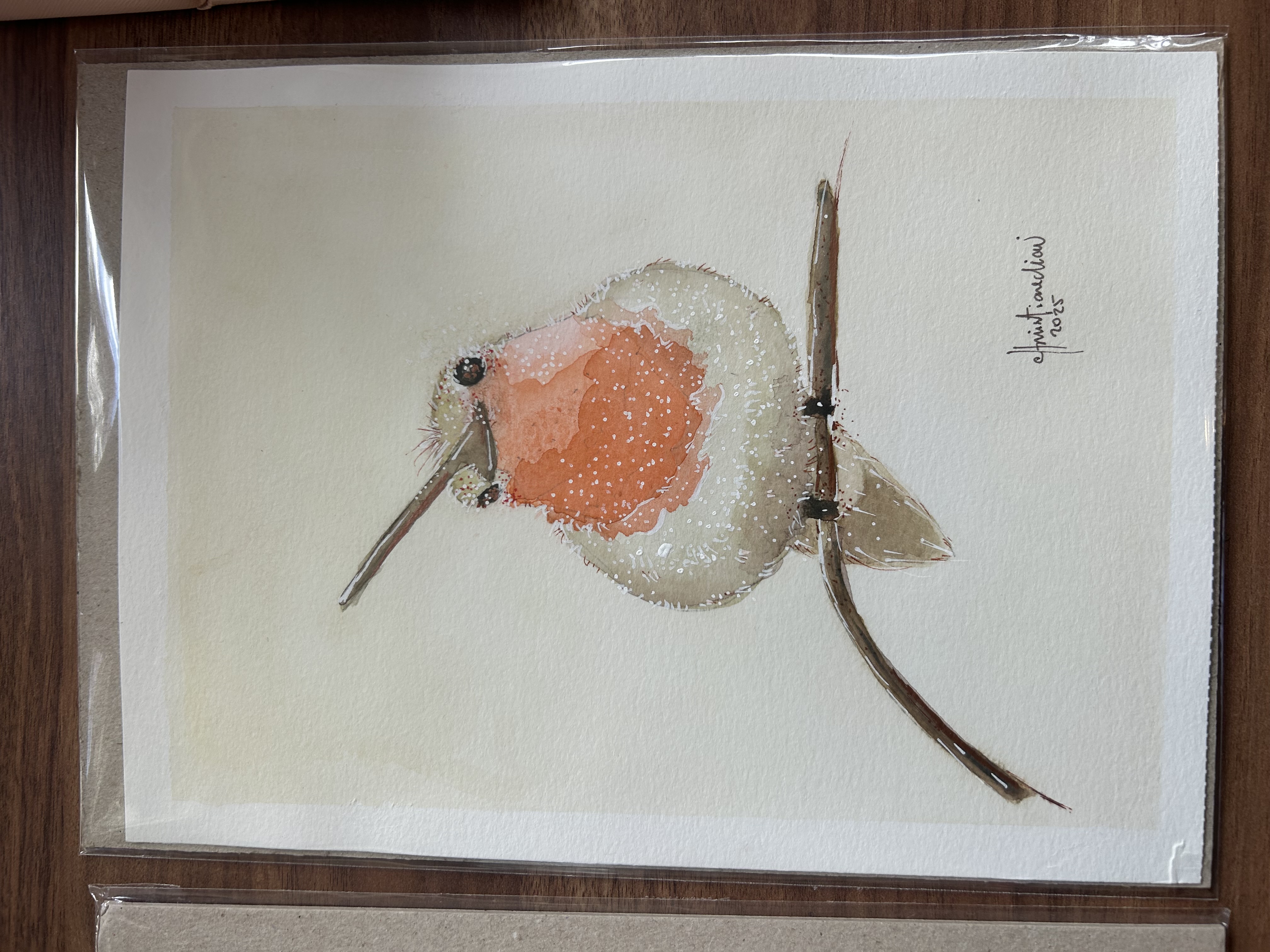 Beija-flor / Hummingbird