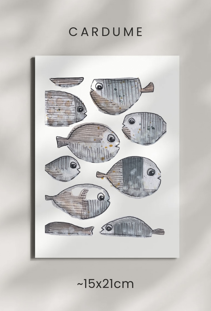 Cardume / Shoal Fish