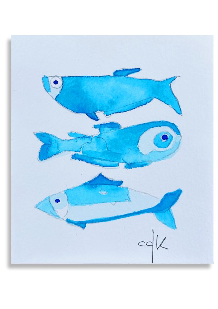 Peixe Azul / Blue Fish