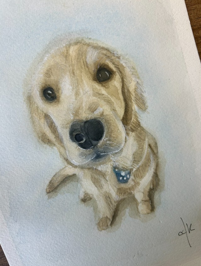 Meu Vizinho Charlie | My Neighbor Charlie