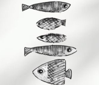 Cardume / Shoal Fish