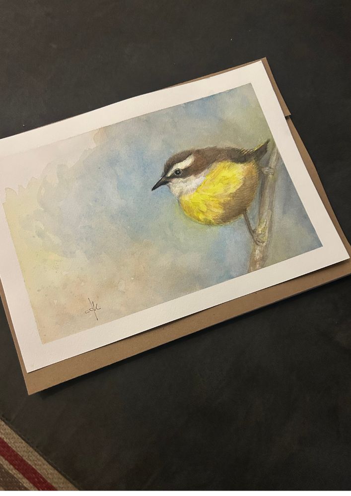 Cambacica | Bananaquit