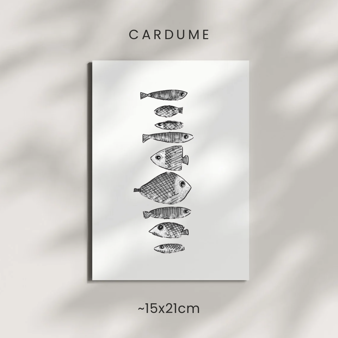 Cardume / Shoal Fish