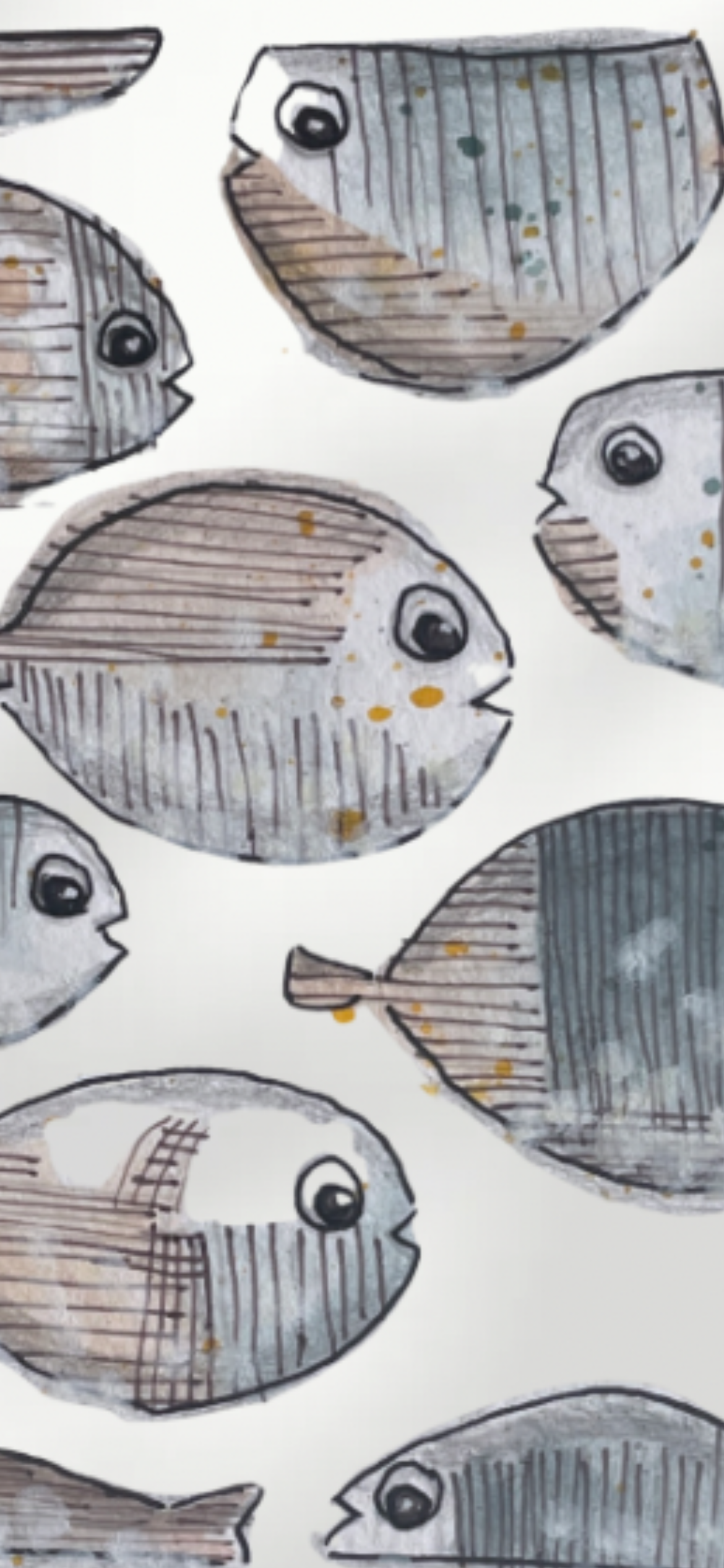 Cardume / Shoal Fish