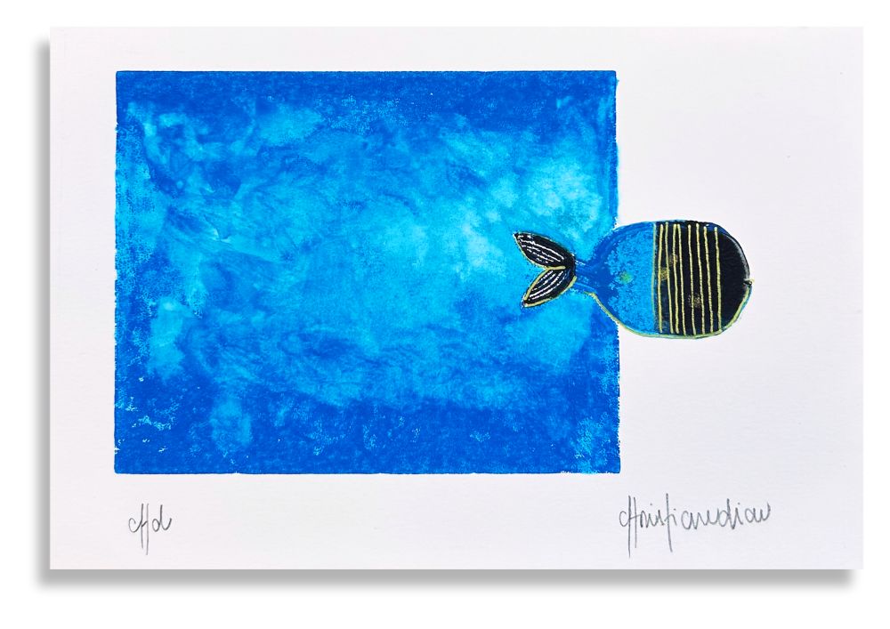 Peixe Azul / Blue Fish