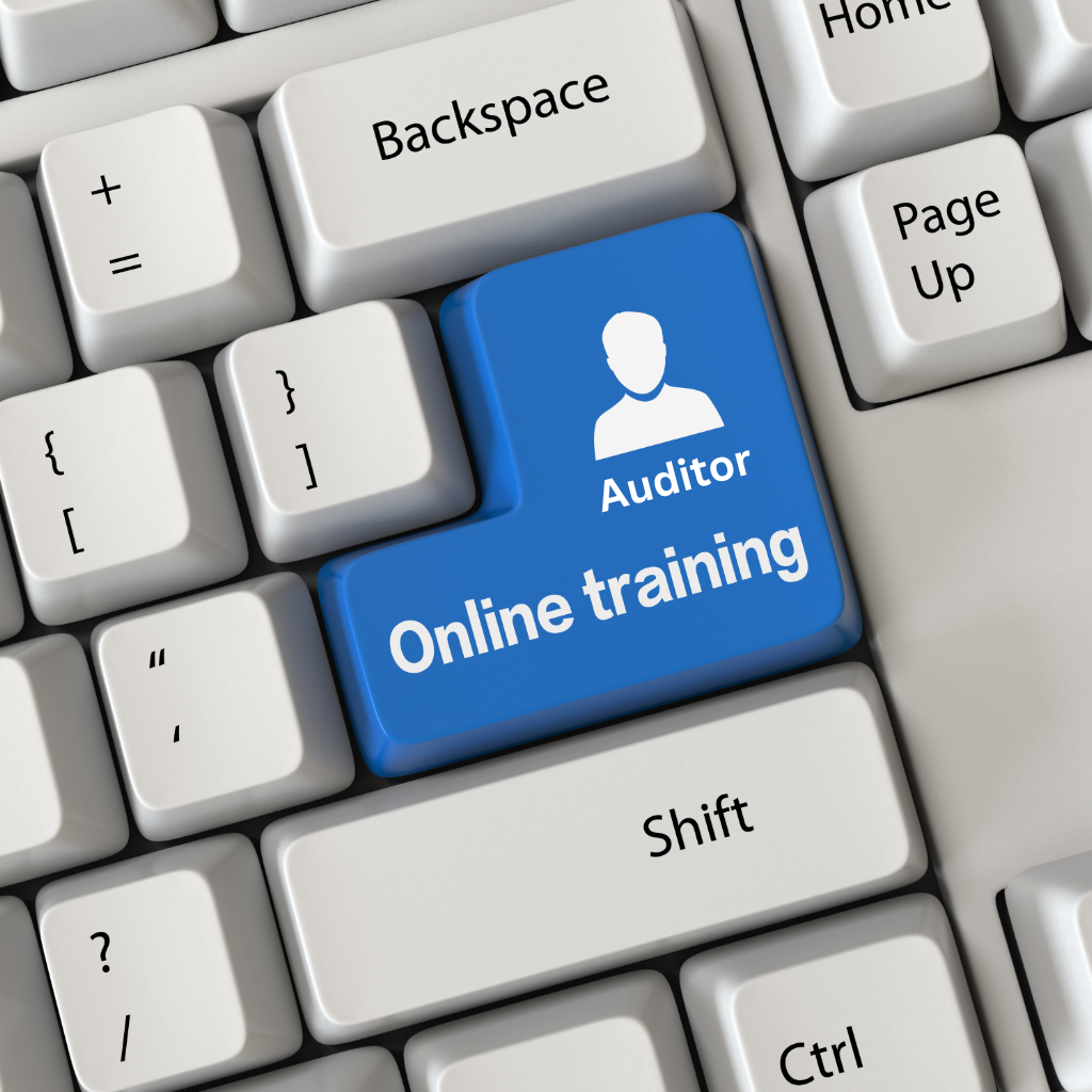 Supplier Auditor Training Program — Auditing the Machines™