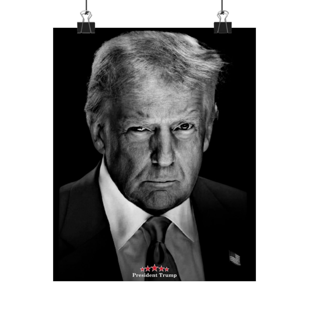 President Trump Matte Poster 8X10 Inch