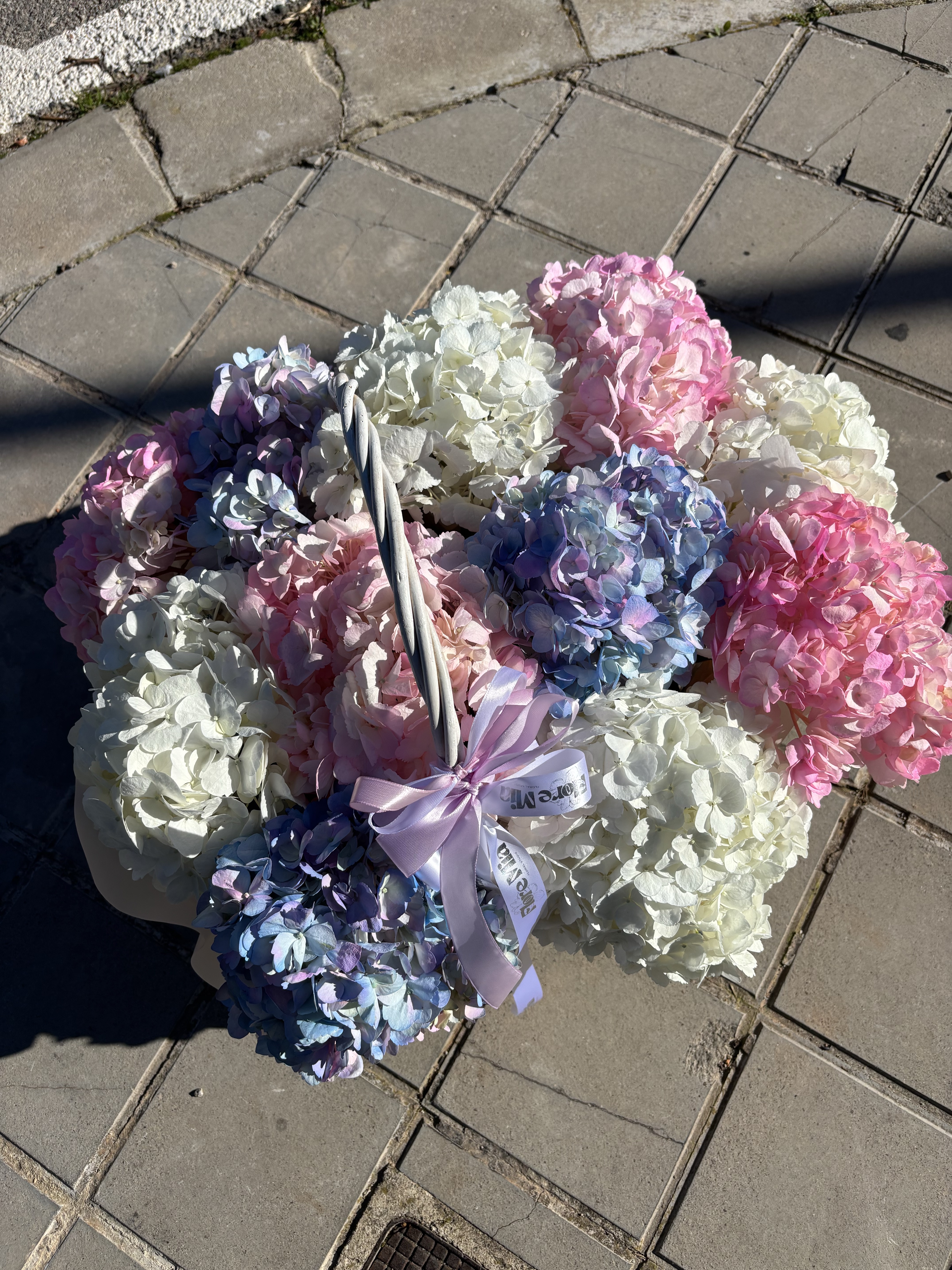 Hydrangea Basket