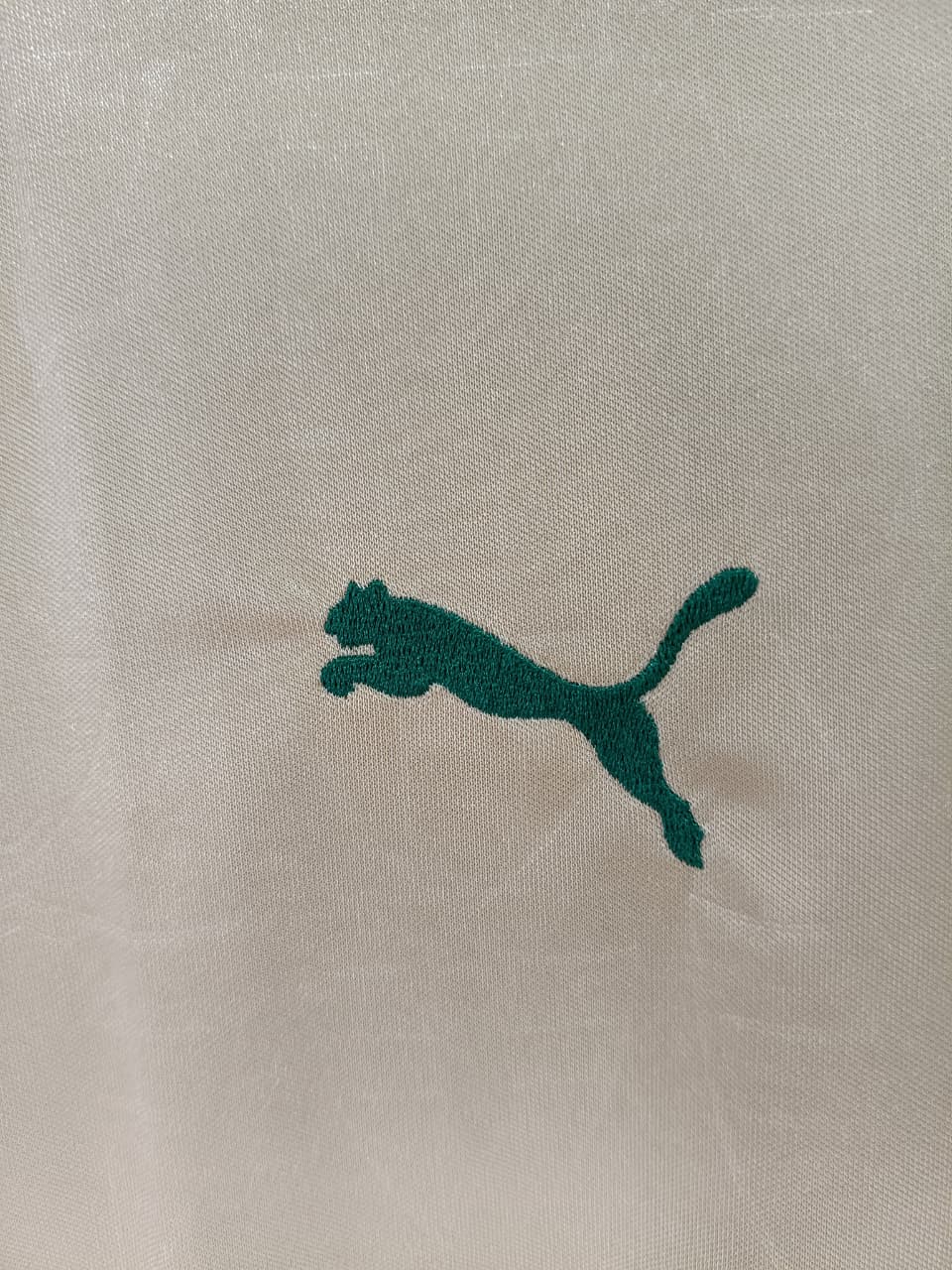 Camisa III Palmeiras 2024 - Modelo Feminino - G