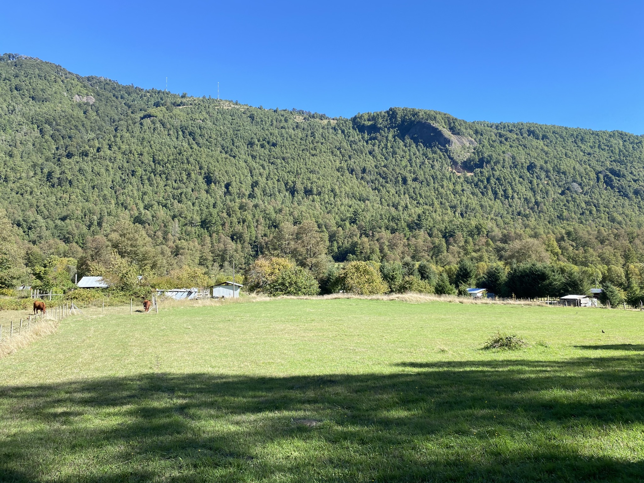 💎 ¡8 HECTÁREAS FRENTE AL CORDÓN TERMAL DE PUCÓN! El Lujo de la Naturaleza a 1 km de Termas Huife