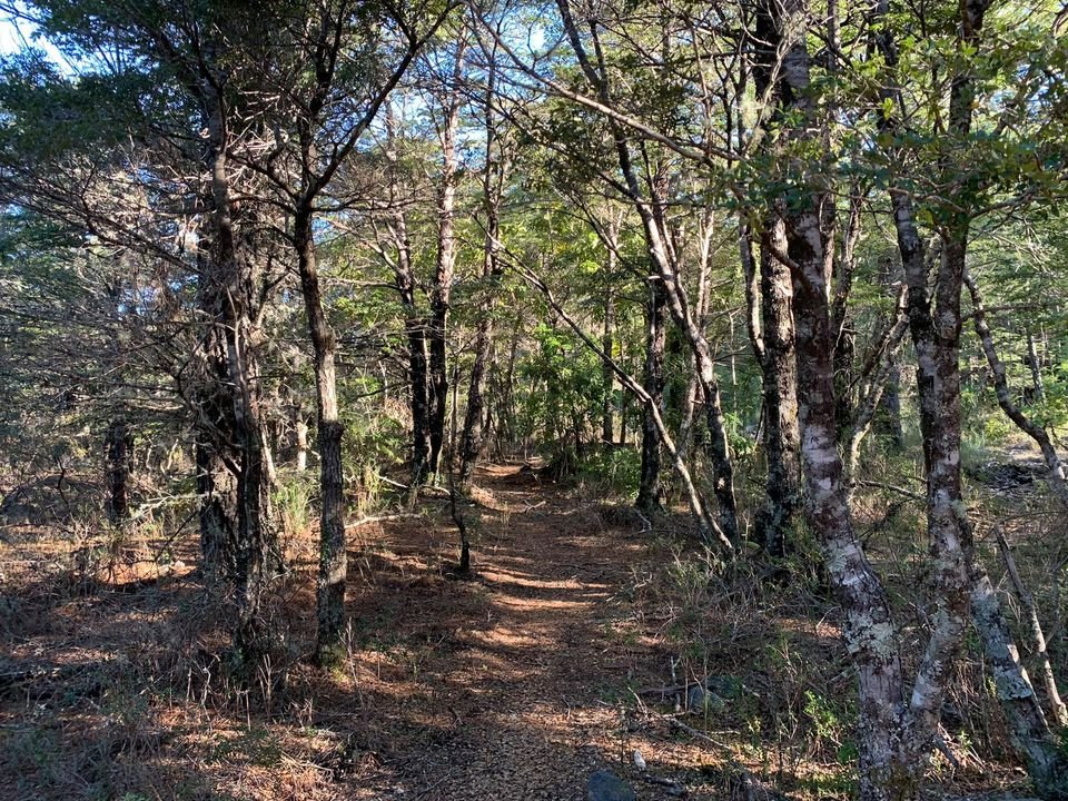 ✨ ¡PARAÍSO NATURAL EN CERDUO, A SOLO 14 KM DE PUCÓN!