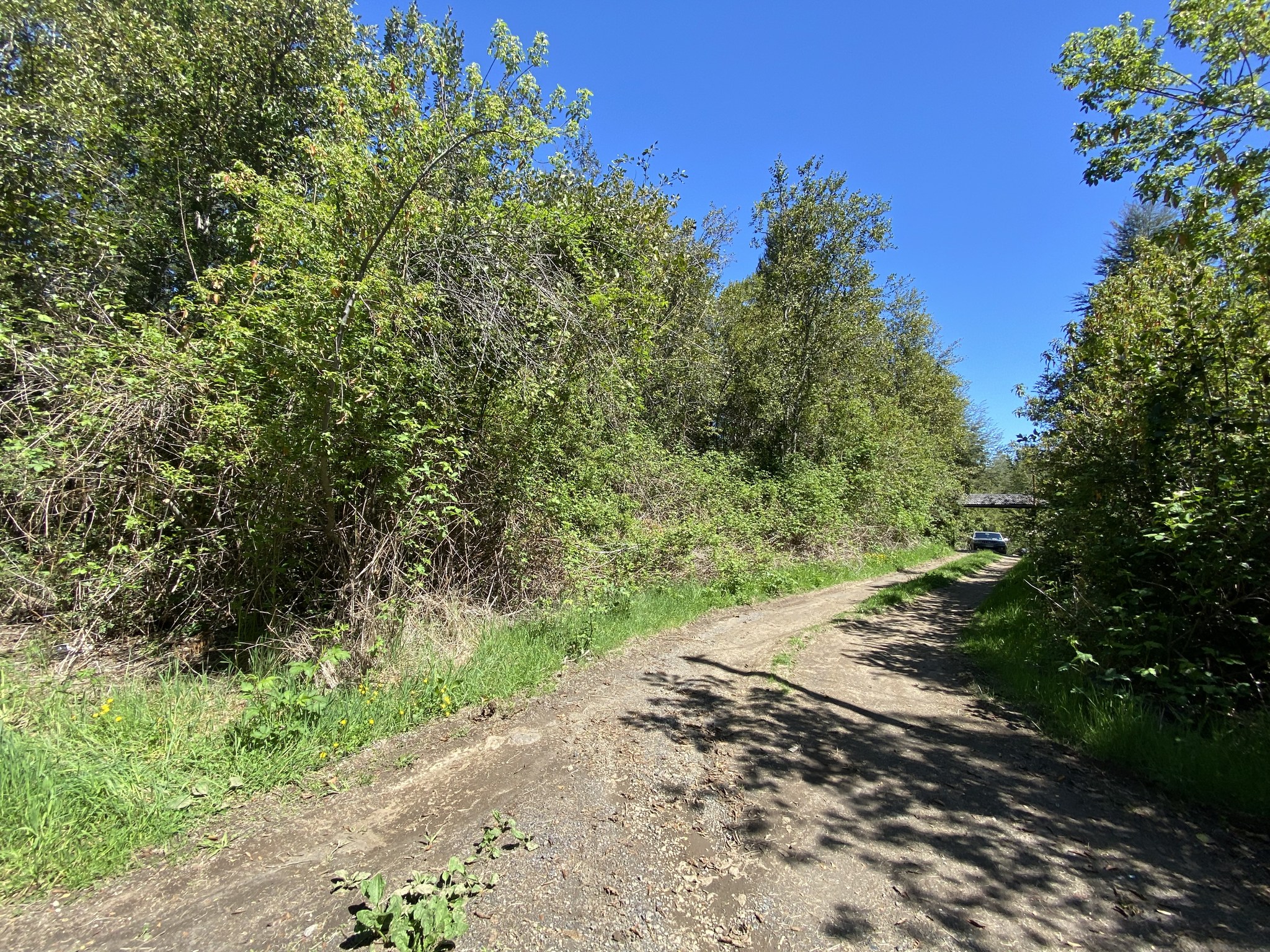 ✨ ¡SANTUARIO NATURAL EN CABURGUA, A MINUTOS DE PUCÓN!