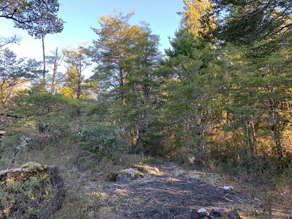 ✨ ¡PARAÍSO NATURAL EN CERDUO, A SOLO 14 KM DE PUCÓN!
