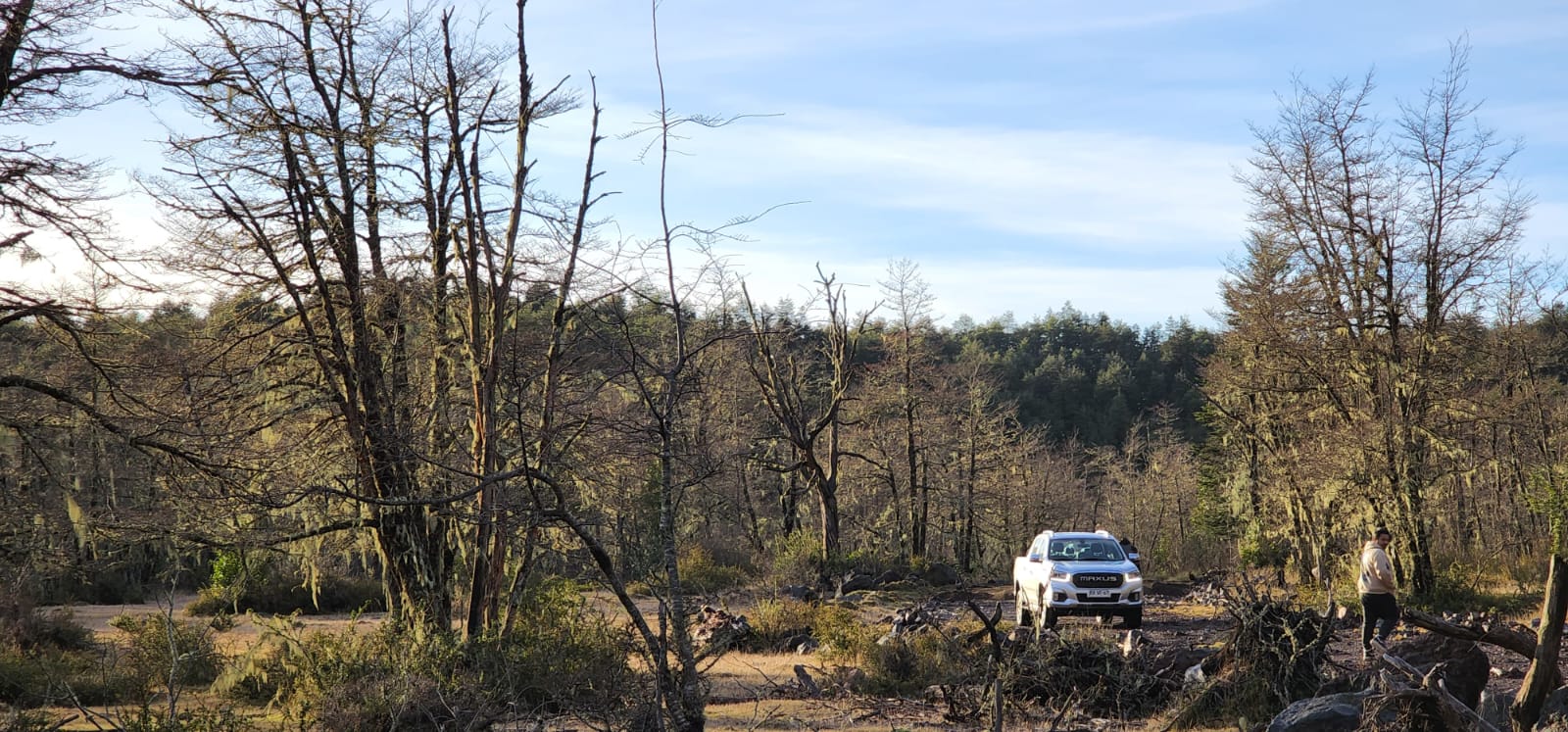 ✨ ¡TU REFUGIO DE MONTAÑA EN CURARREHUE!