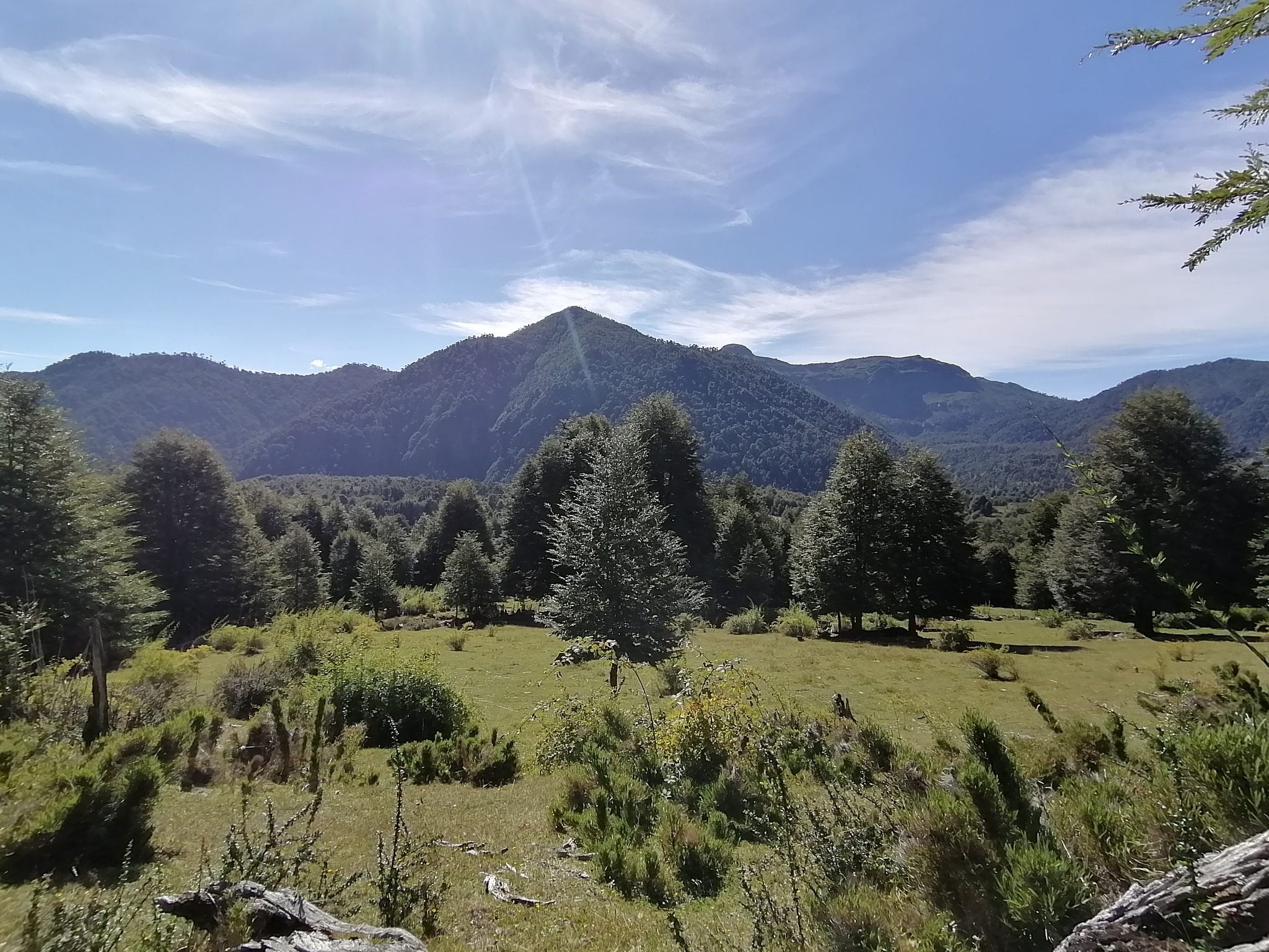 🌲 ¡OPORTUNIDAD ÚNICA! TERRENO DE 52 HECTÁREAS EN LLANCALIL, PUCÓN