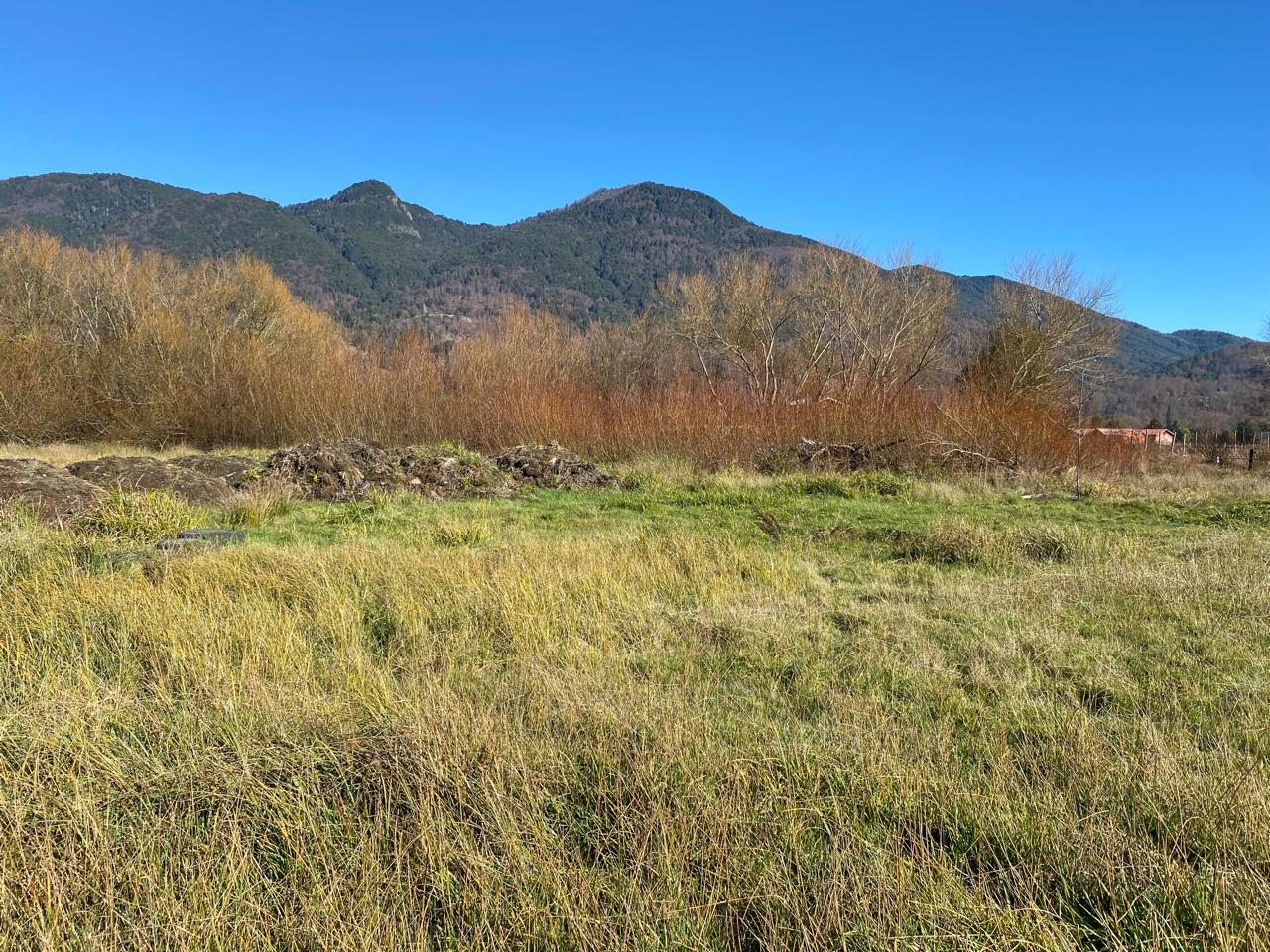 ✨ Hermosa Parcela en Catripulli – Pucón 🌿