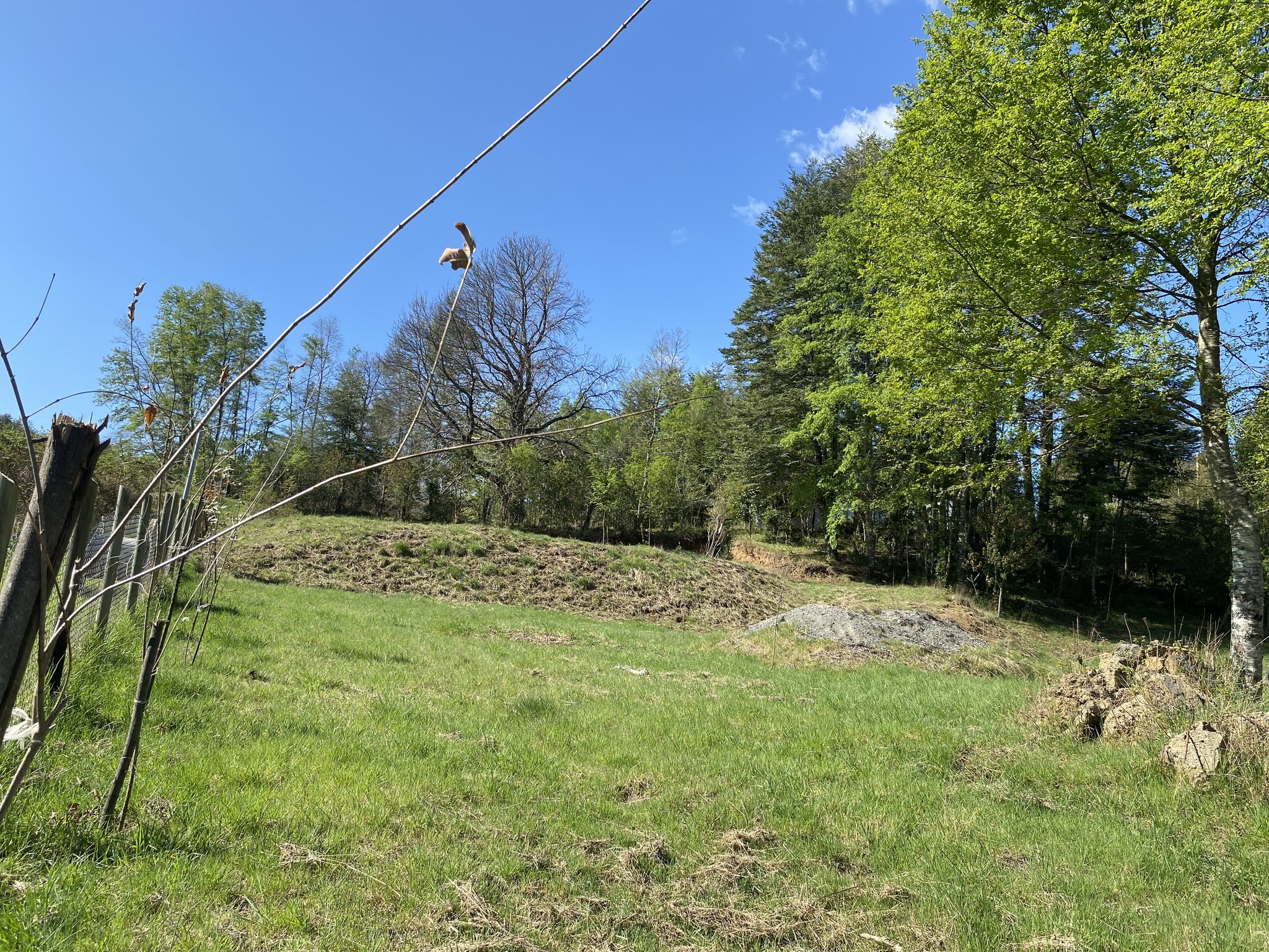 ✨ Parcela soñada con vista al Volcán Villarrica