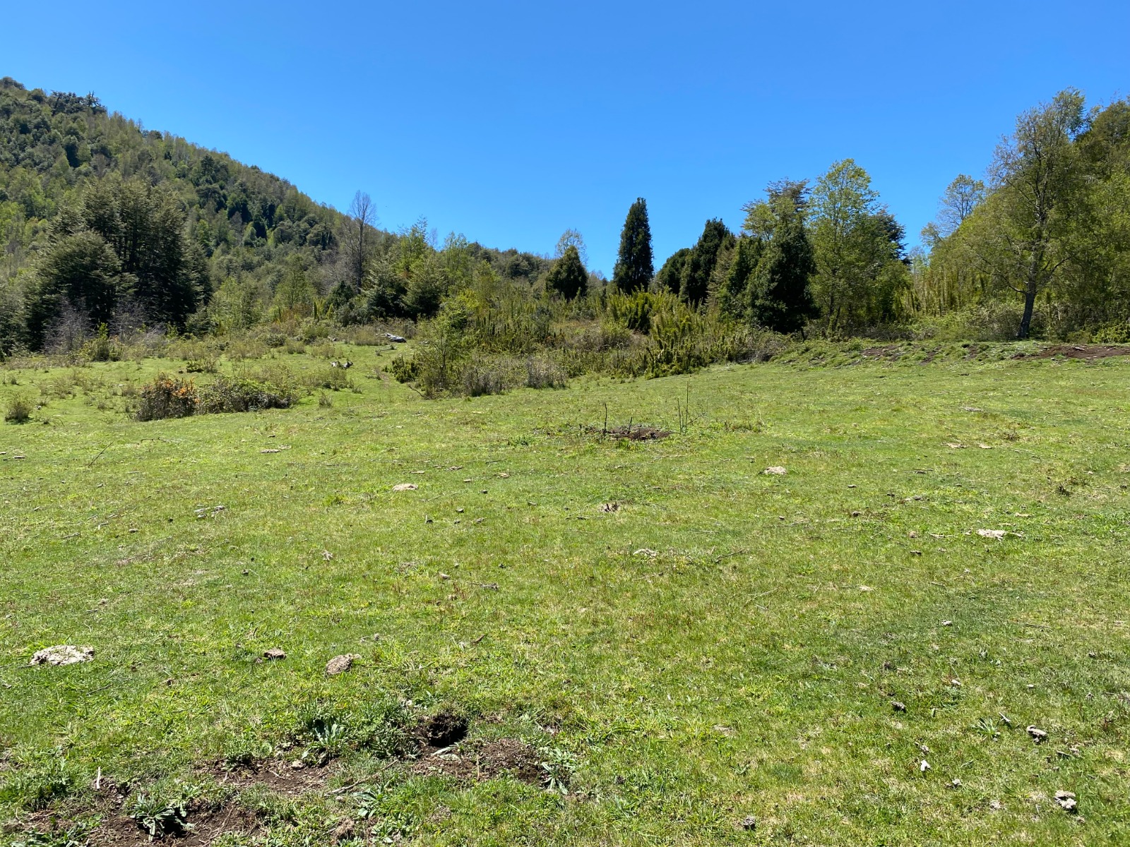 Parcela 5.000 m² con Vista a Lago Caburgua – PUCON 🌿