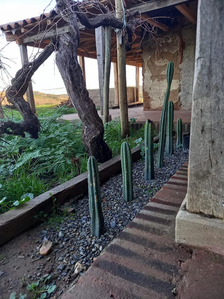 🌿 SE VENDE MARAVILLOSA PROPIEDAD CENTENARIA RESTAURADA EN SAN JAVIER– IDEAL INVERSIÓN O VIVIENDA