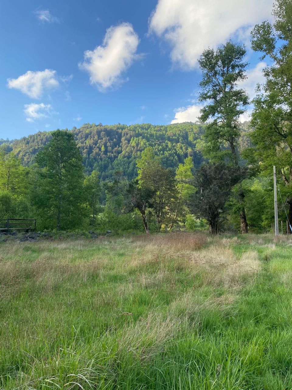 🚨 ¡PARCELA CON ORILLA DE RIO EN ZONA TERMAL DE PUCÓN!