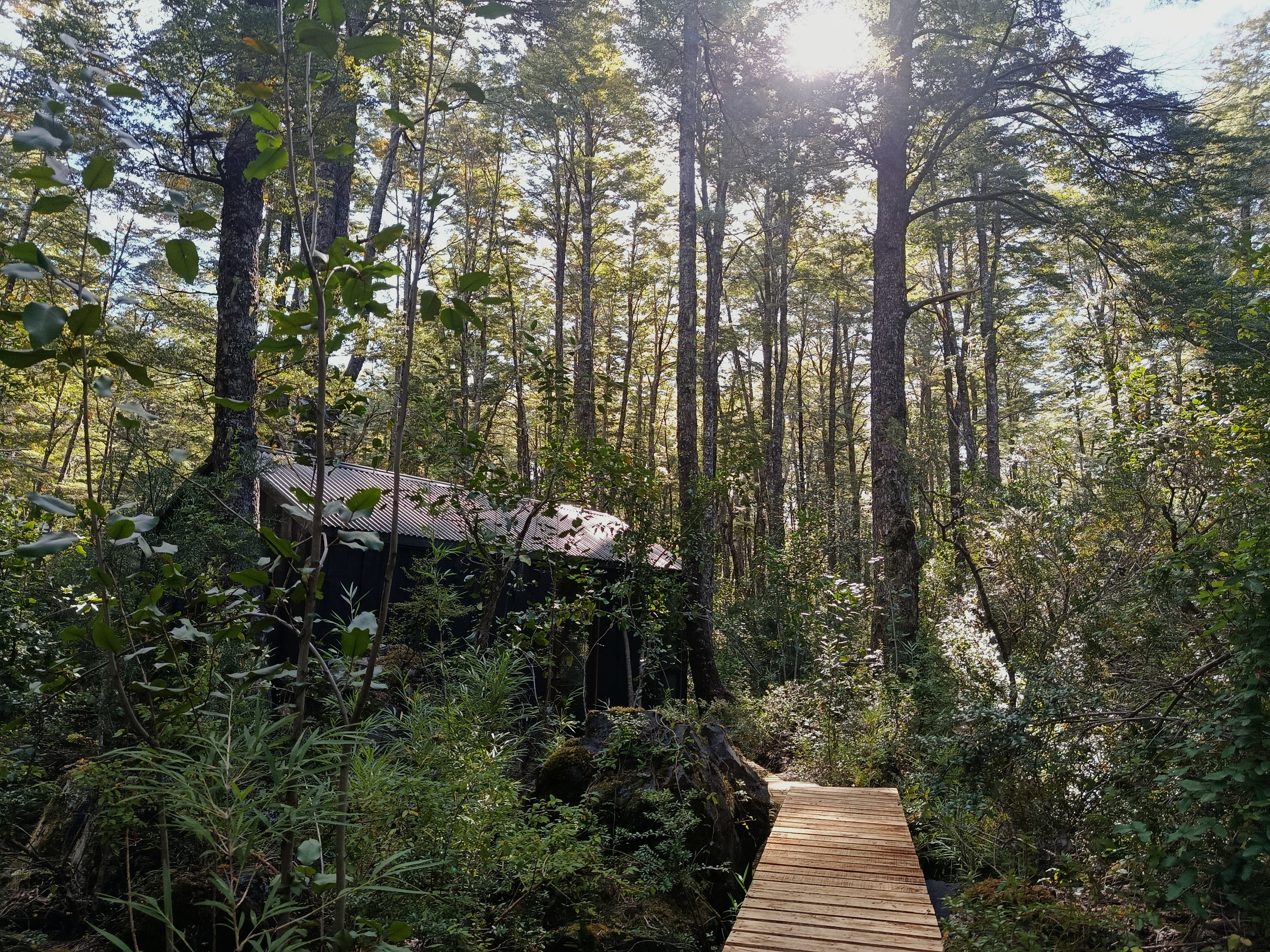 OPORTUNIDAD DE INVERSIÓN TURÍSTICA EN PUCON / CURARREHUE 🌲🏡