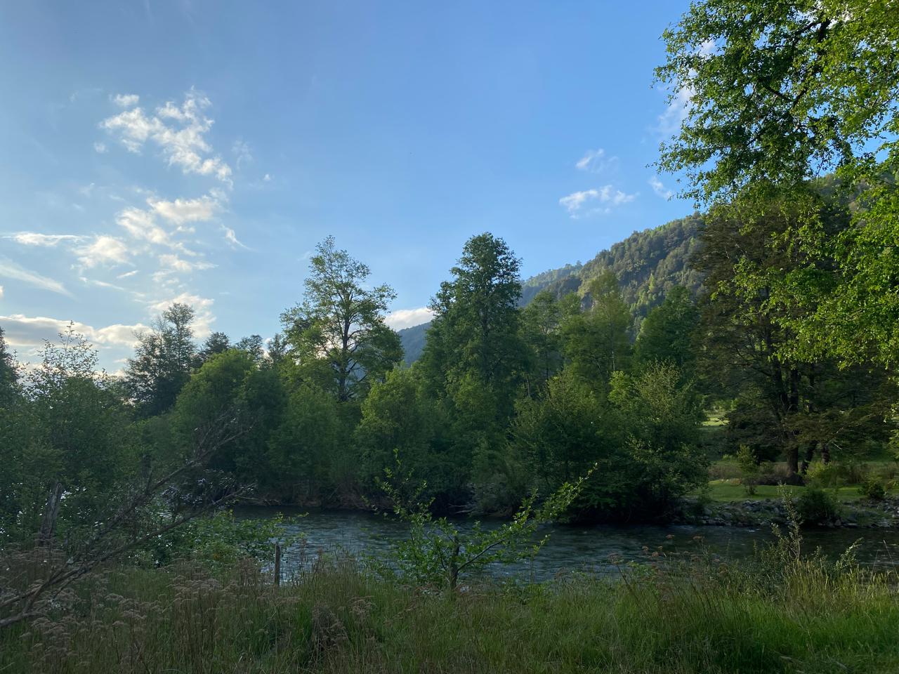 🚨 ¡PARCELA CON ORILLA DE RIO EN ZONA TERMAL DE PUCÓN!