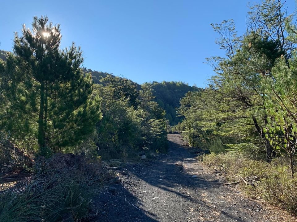 ✨ ¡PARAÍSO NATURAL EN CERDUO, A SOLO 14 KM DE PUCÓN!