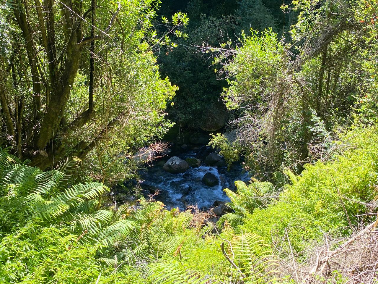🌋 Terreno con Río y Vista al Volcán en Pucón – Sector Lefincul 🏞️