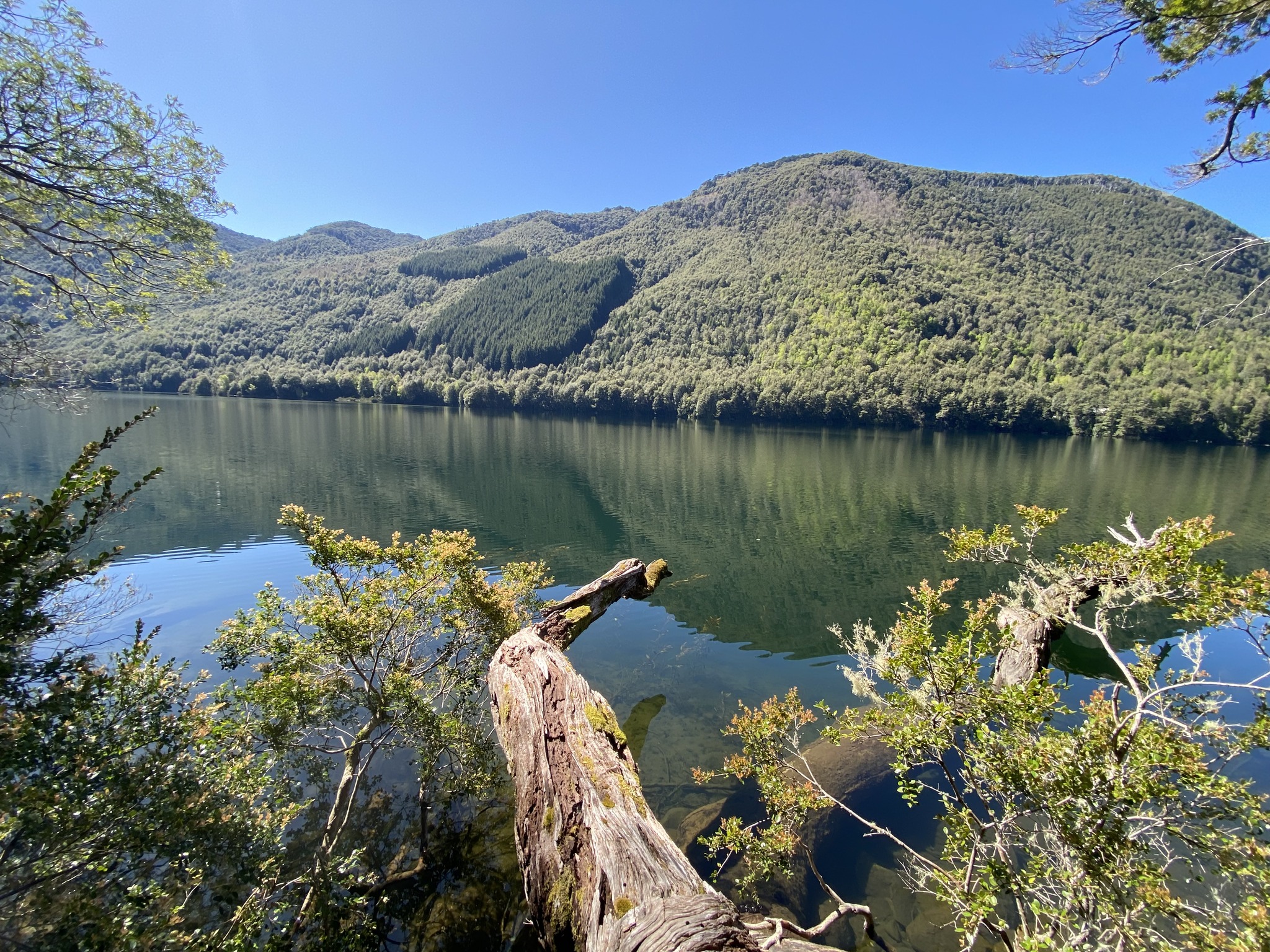 🌅 ¡PARCELAS A ORILLA DE LAGO, A MINUTOS DE PUCÓN!